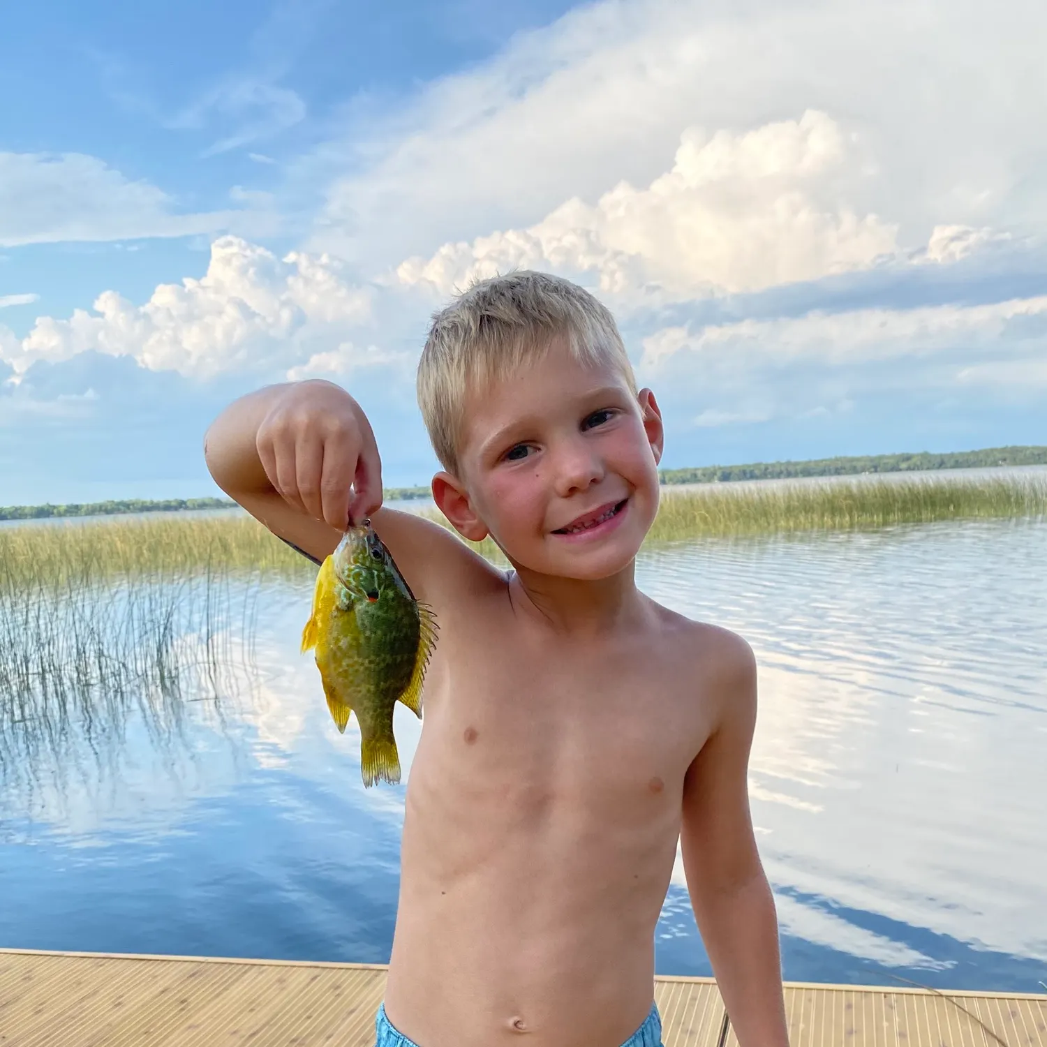 Pumpkinseed caught on Fishbrain