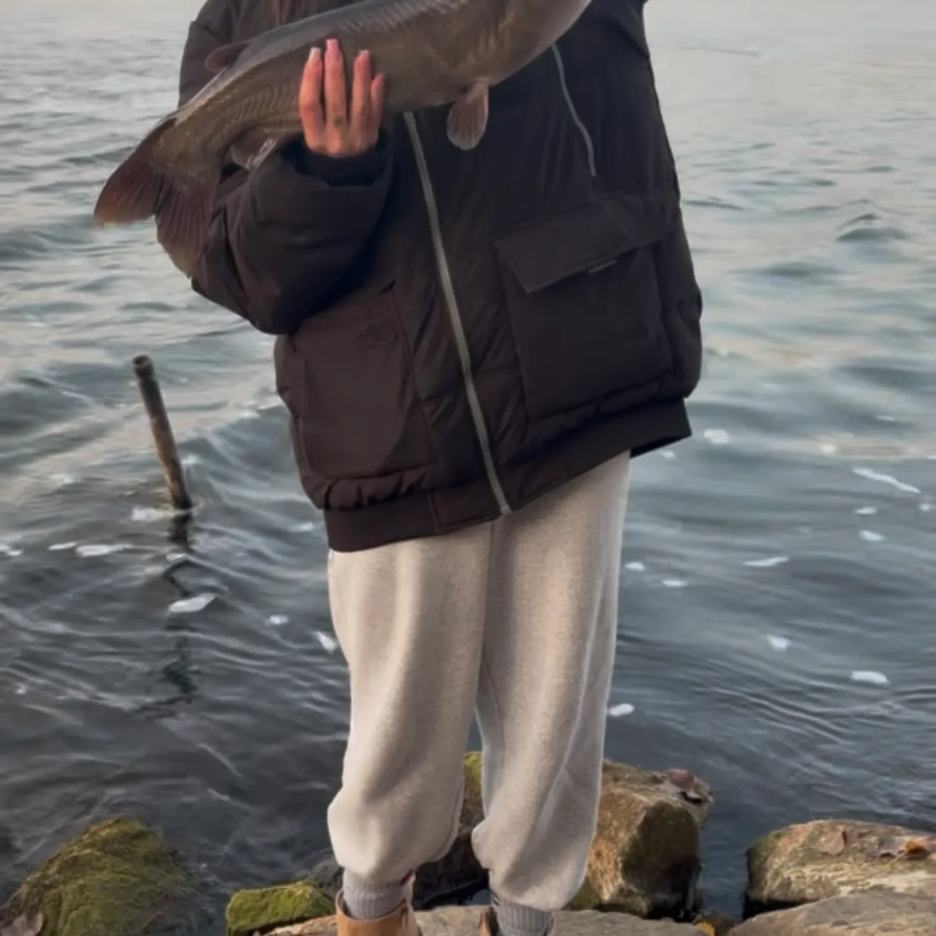 Channel catfish caught on Fishbrain