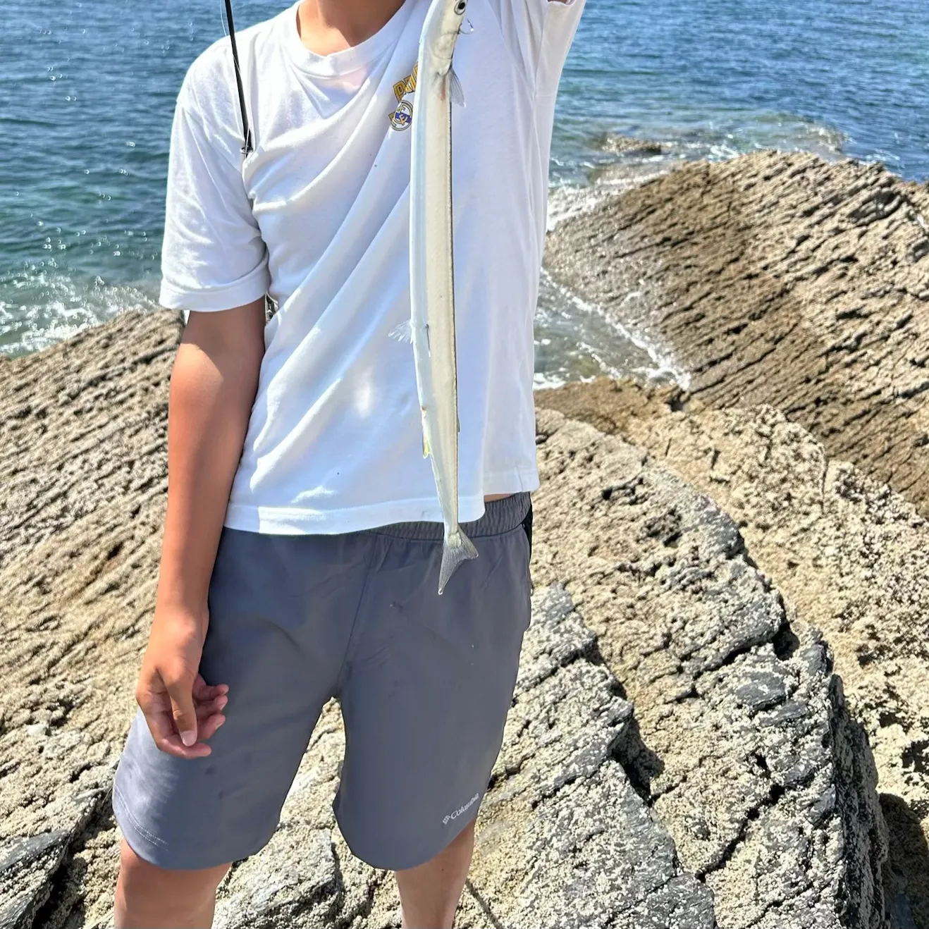 The most recent European garfish catches on Fishbrain