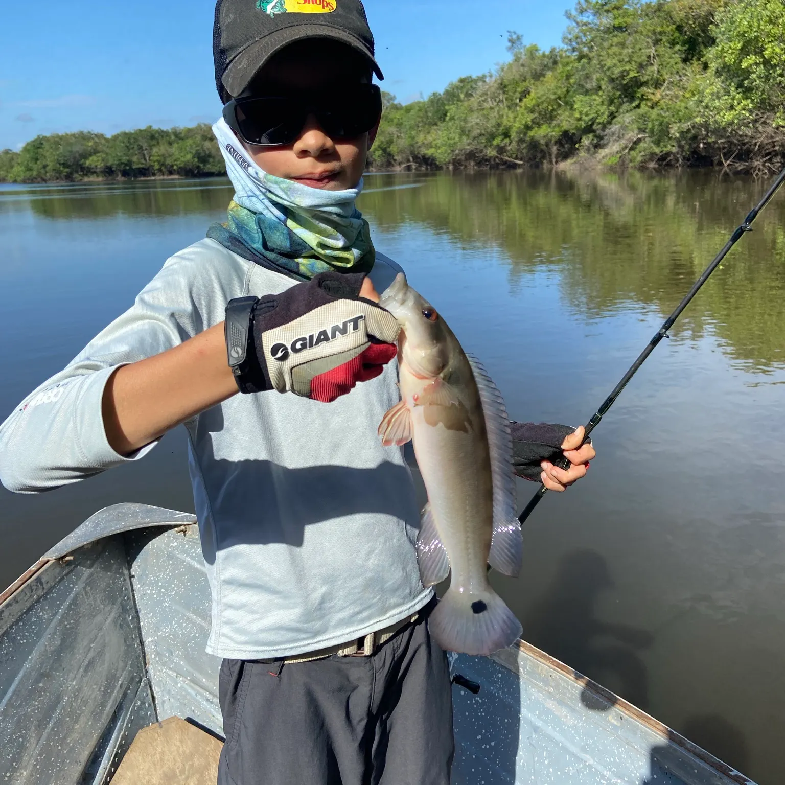 The most recent Johanna pike cichlid catches on Fishbrain