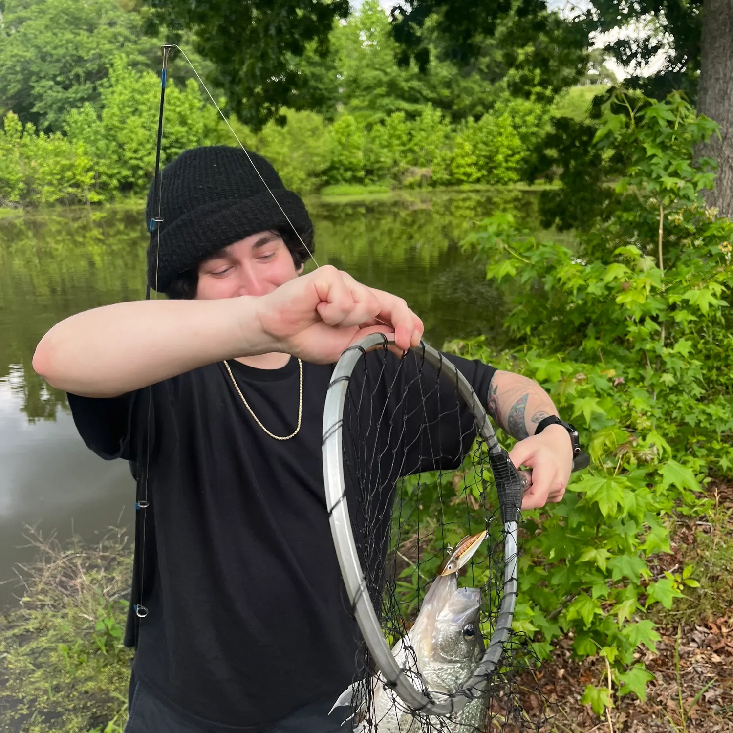recently logged catches