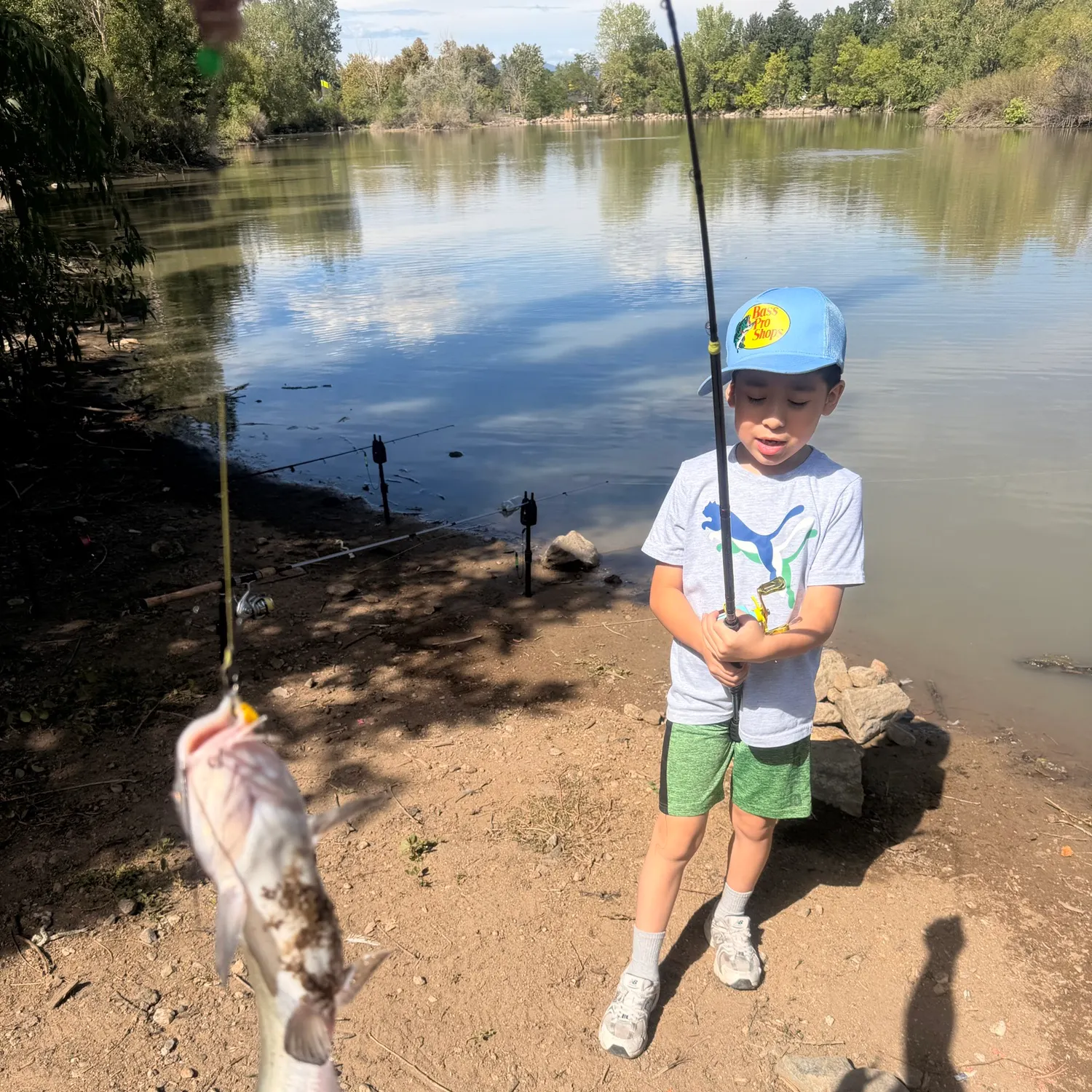 Channel catfish caught on Fishbrain