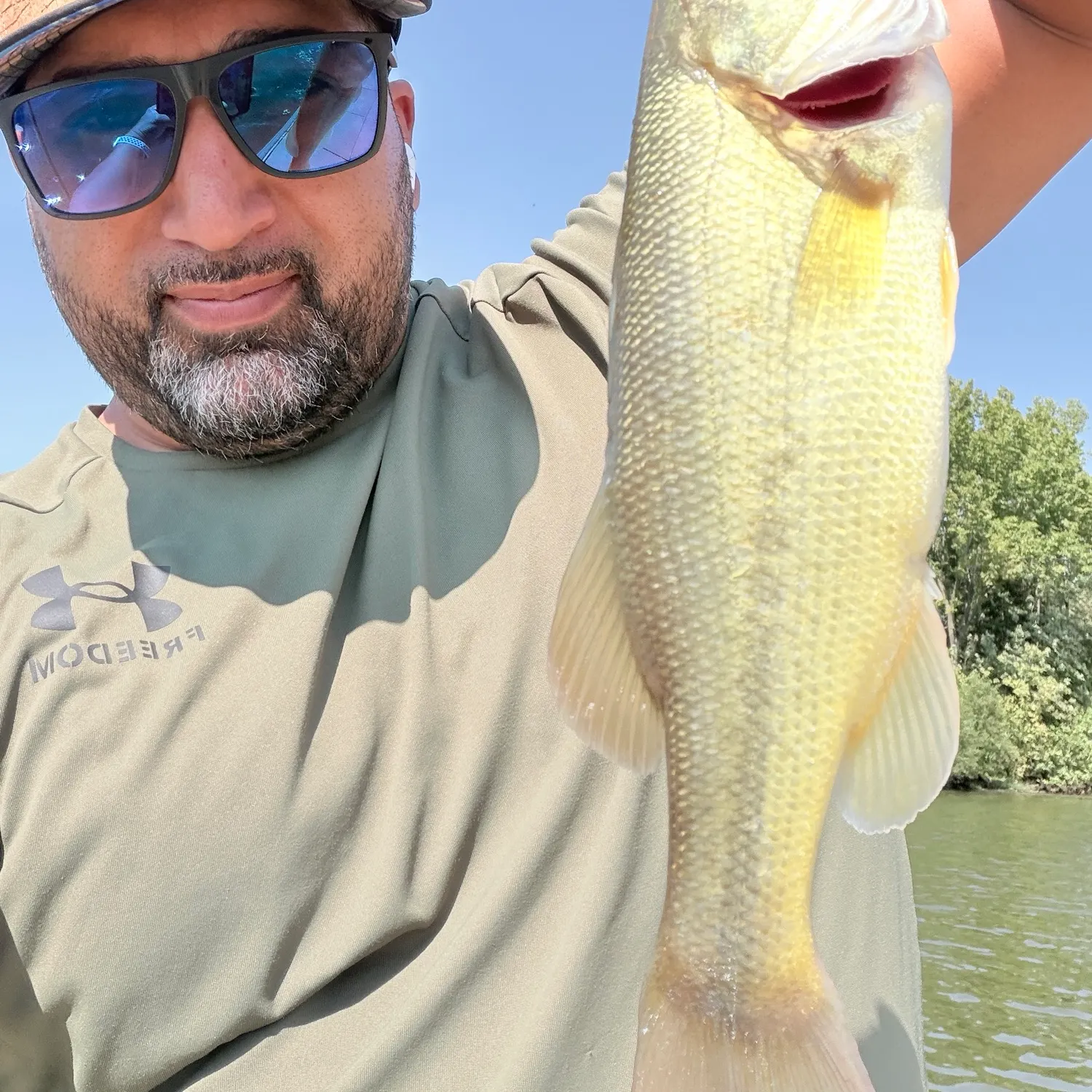 Largemouth bass caught on Fishbrain