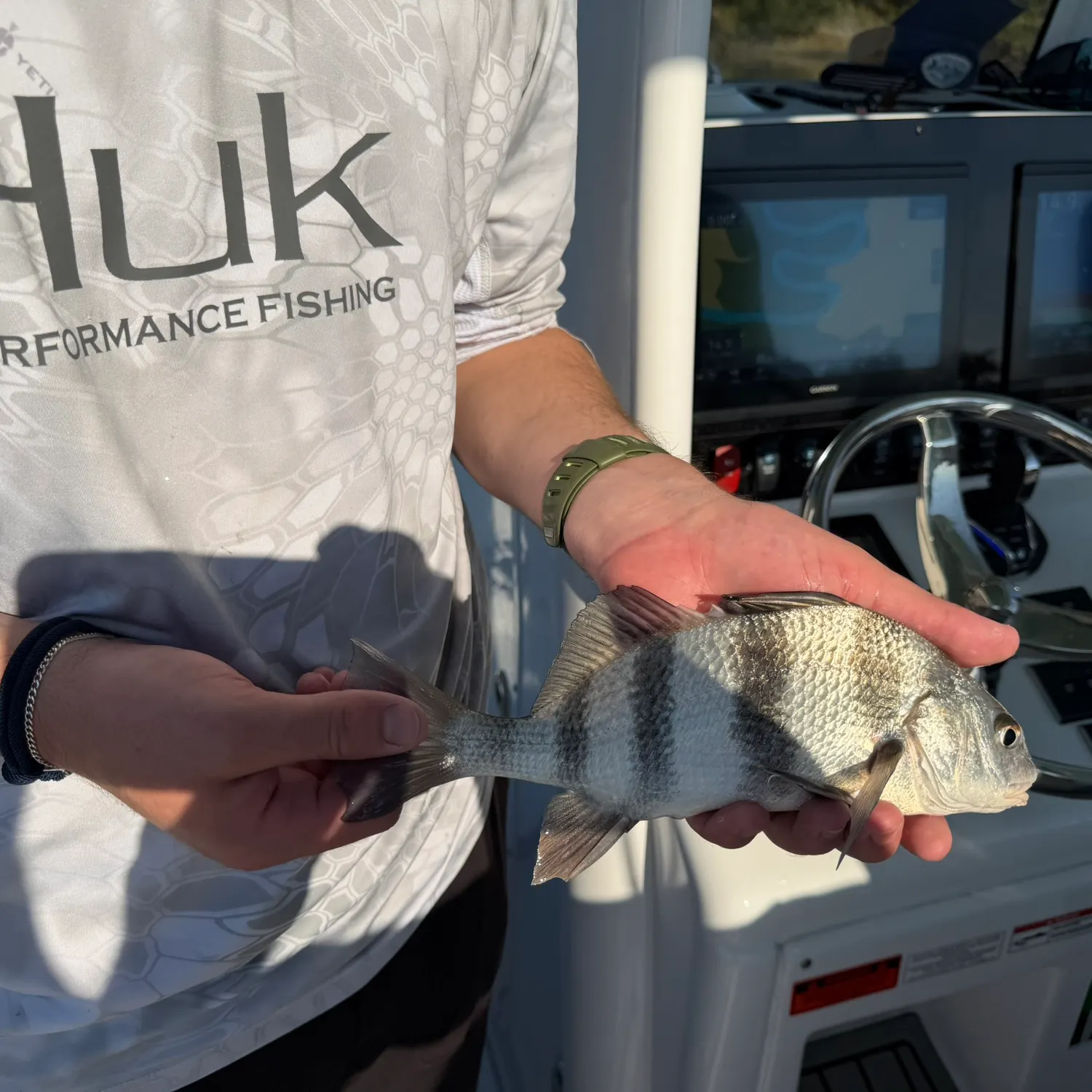 The most recent Black drum catches on Fishbrain
