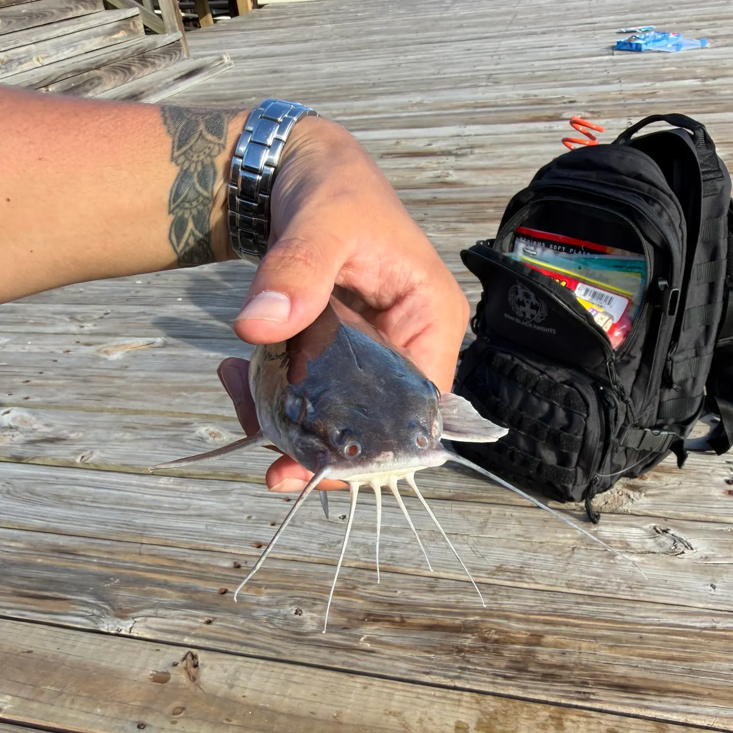 catch