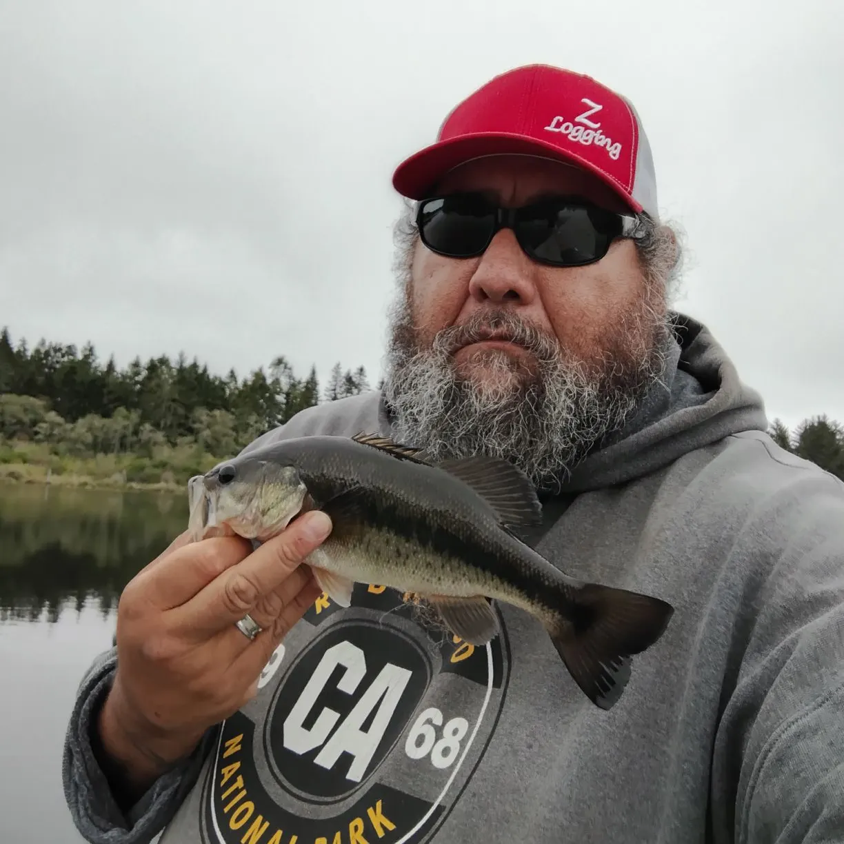 Largemouth bass caught on Fishbrain