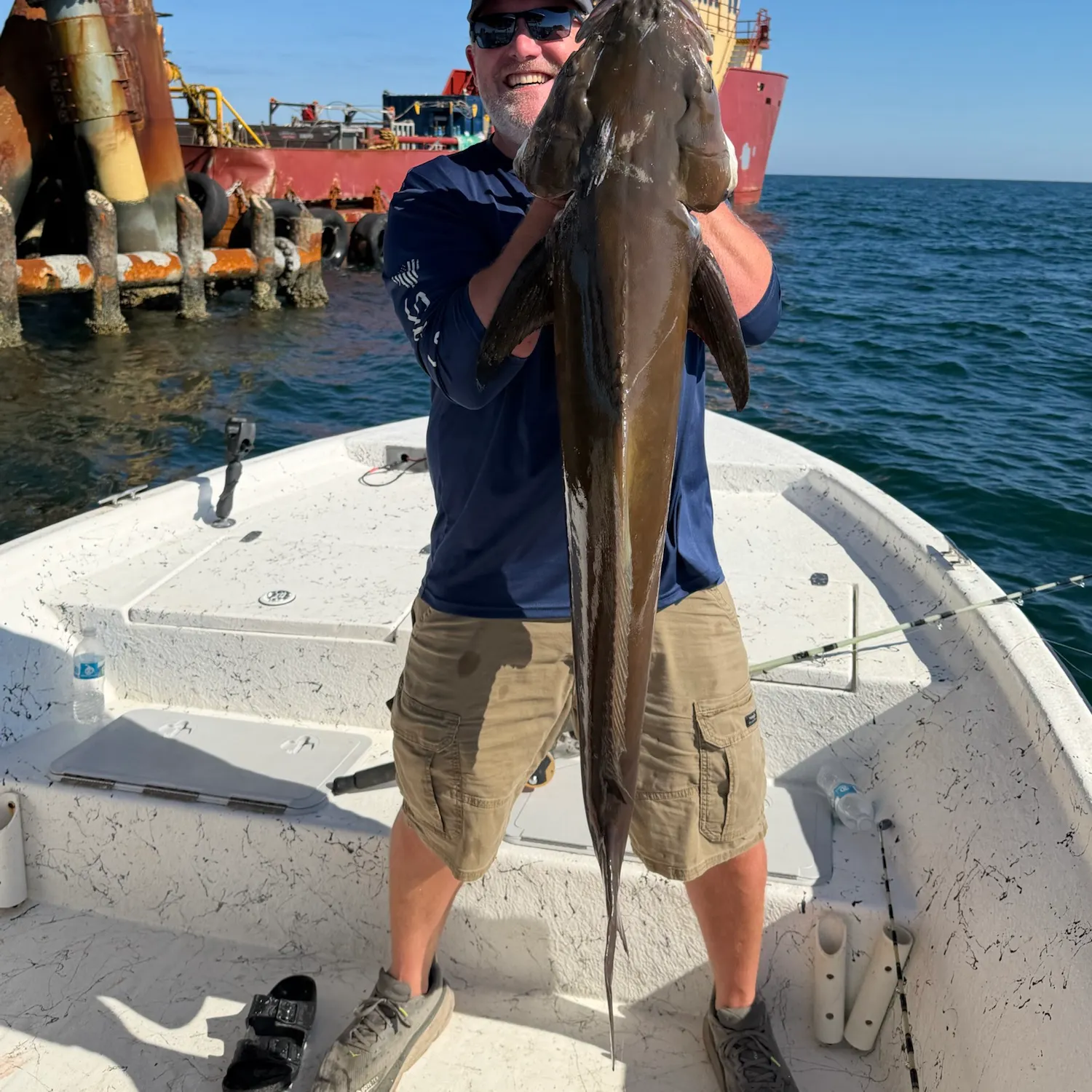 Cobia caught on Fishbrain