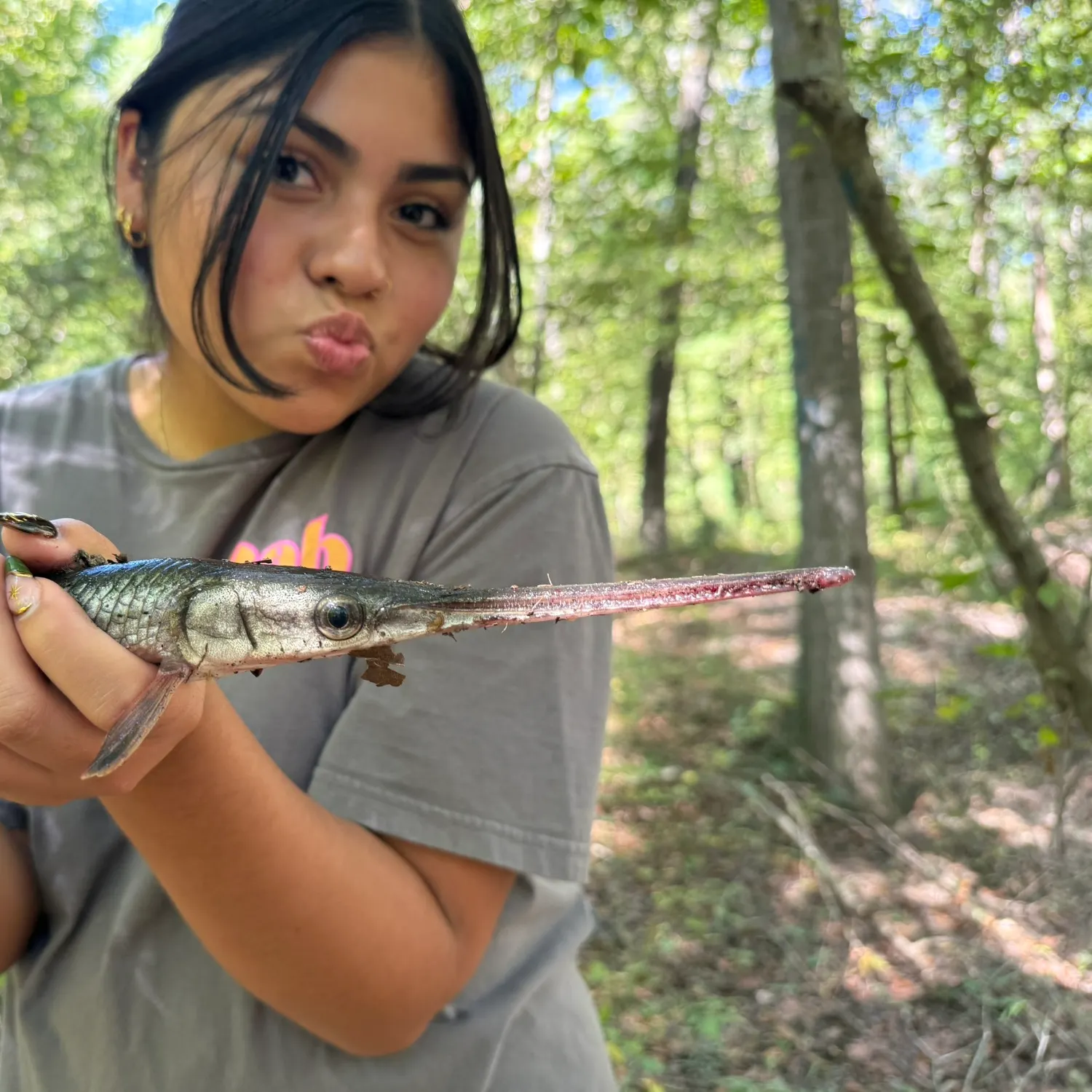 Longnose gar caught on Fishbrain