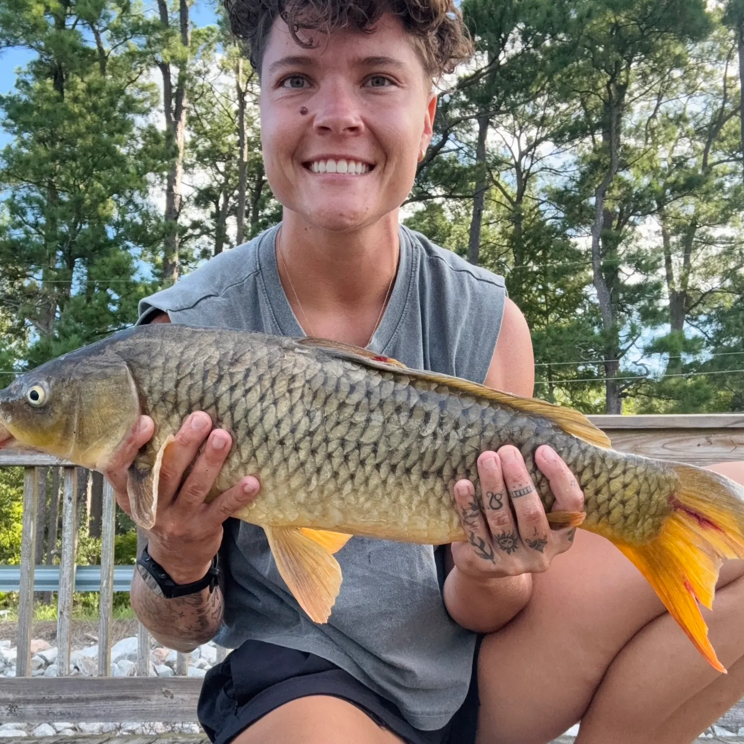 Common carp caught on Fishbrain