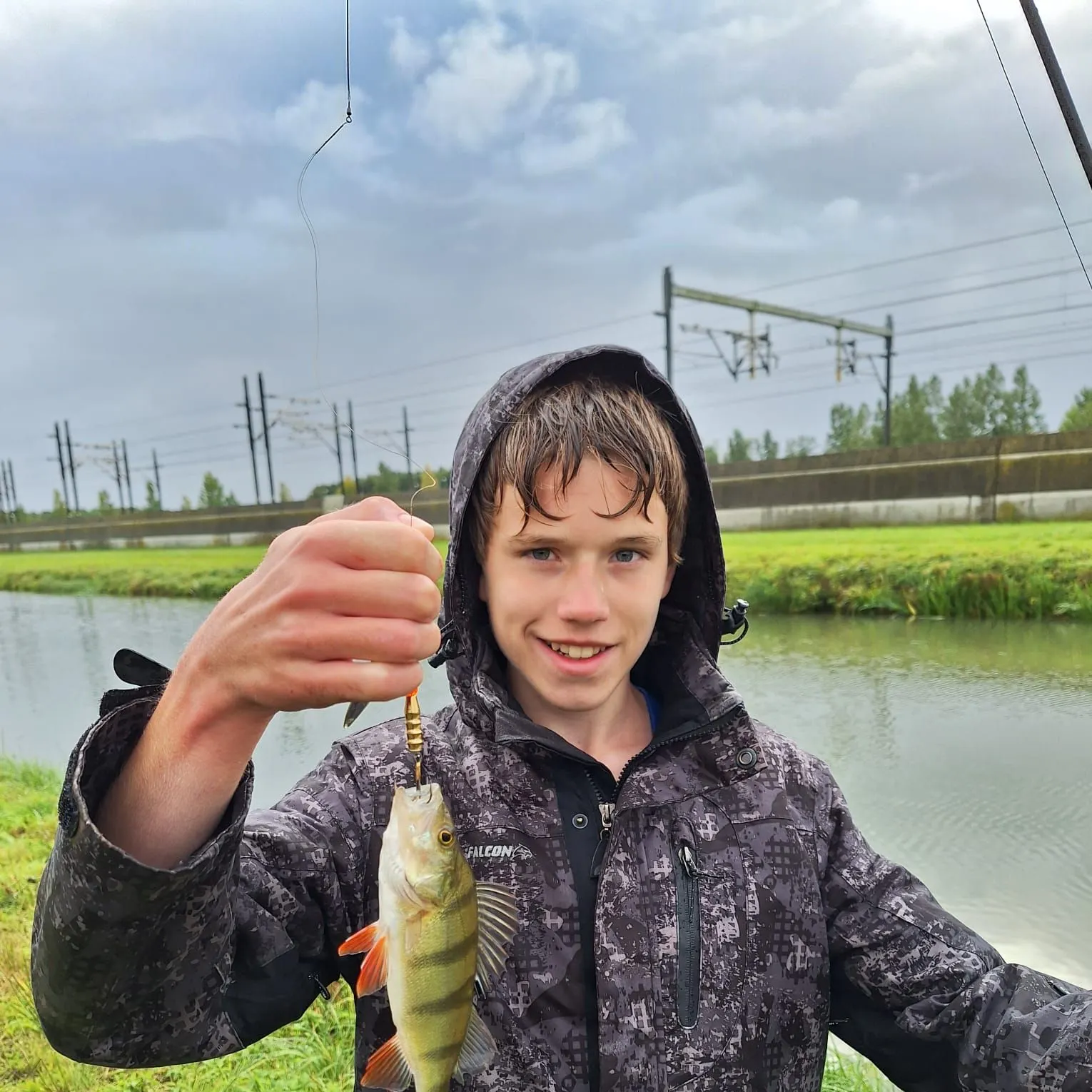 European perch caught on Fishbrain