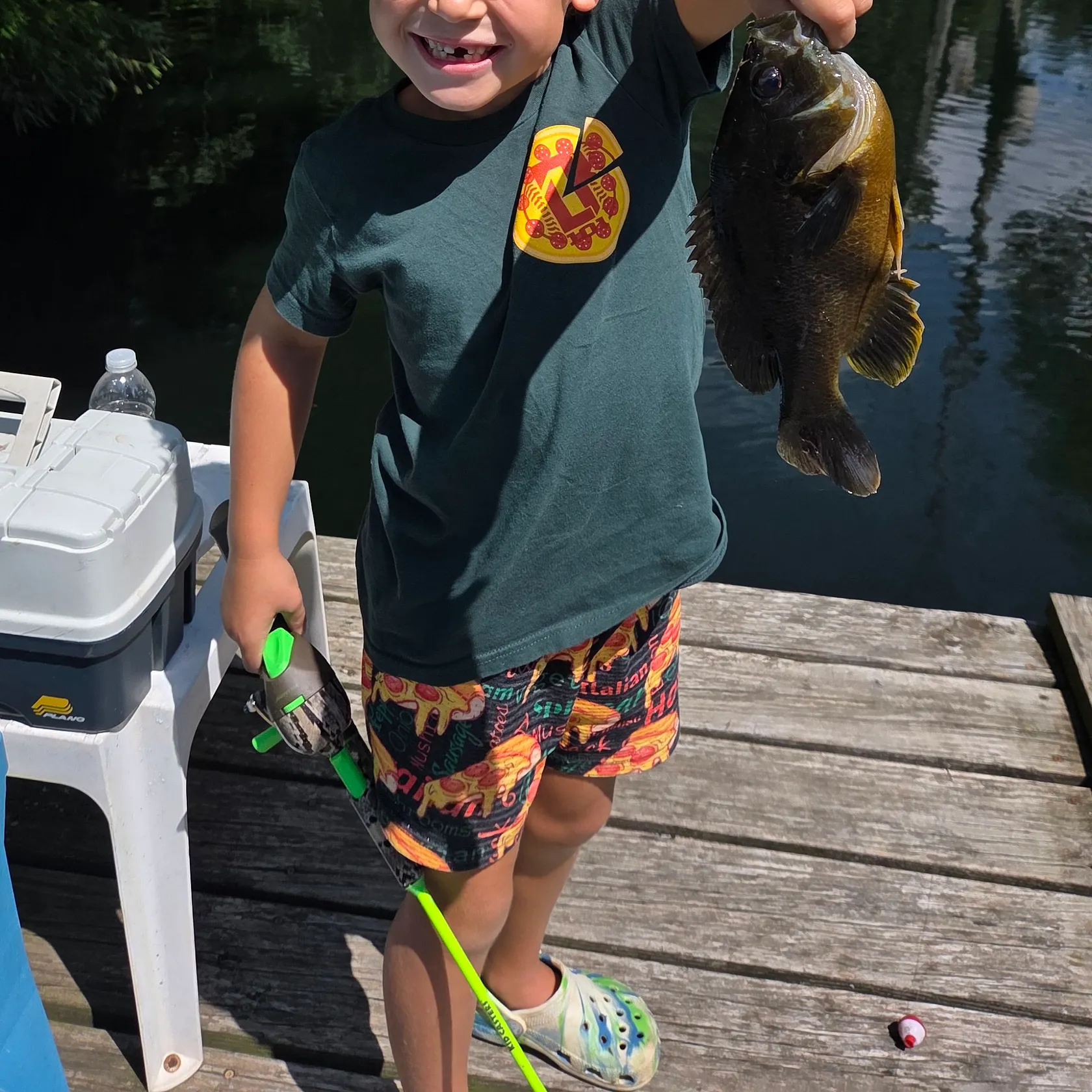 Bluegill caught on Fishbrain