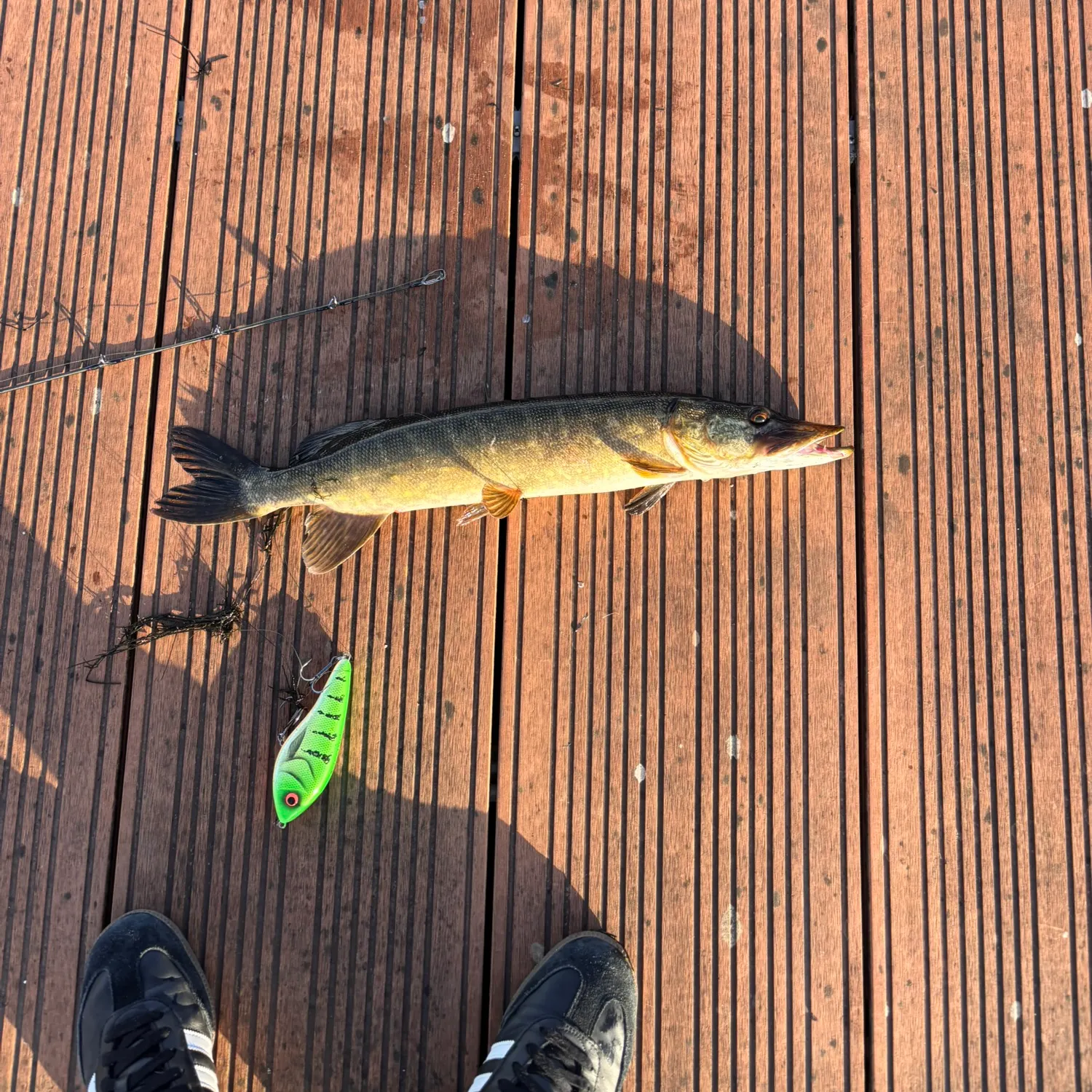 catch