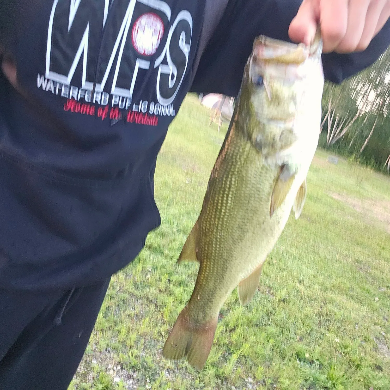 Fish caught on Fishbrain