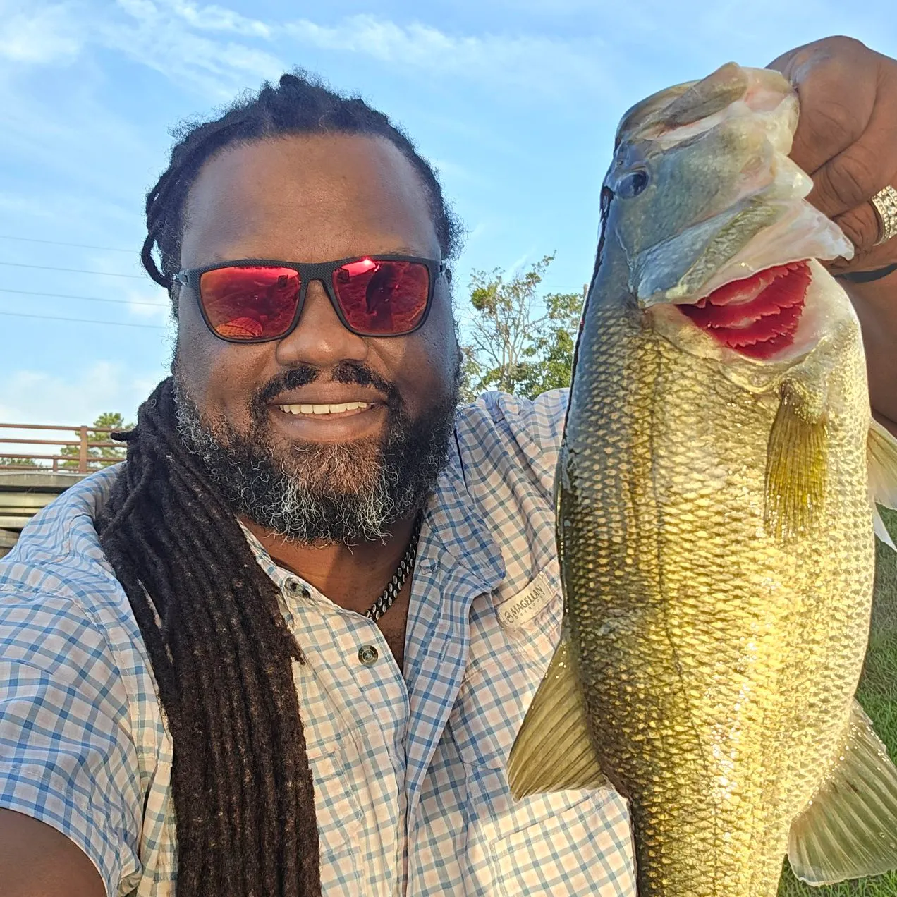 Largemouth bass caught on Fishbrain