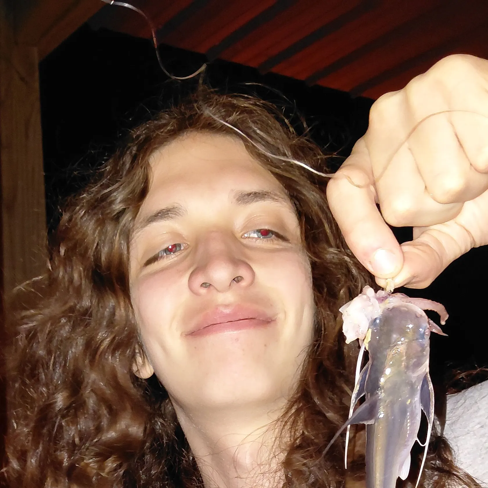Gafftopsail sea catfish caught on Fishbrain