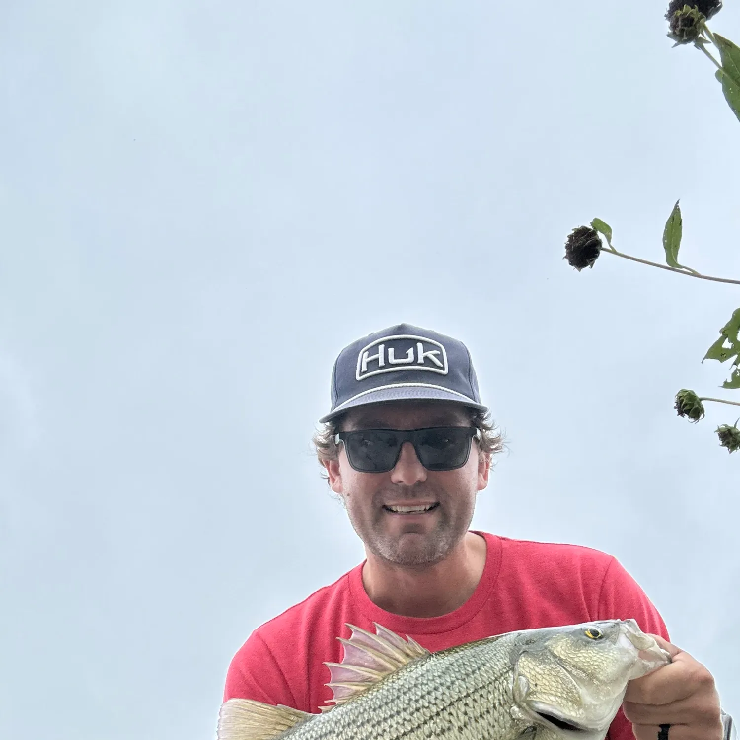Wiper caught on Fishbrain