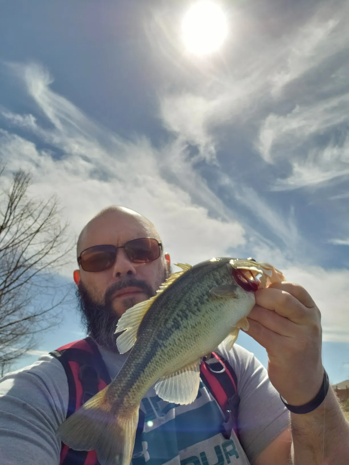 Post image from jmentink