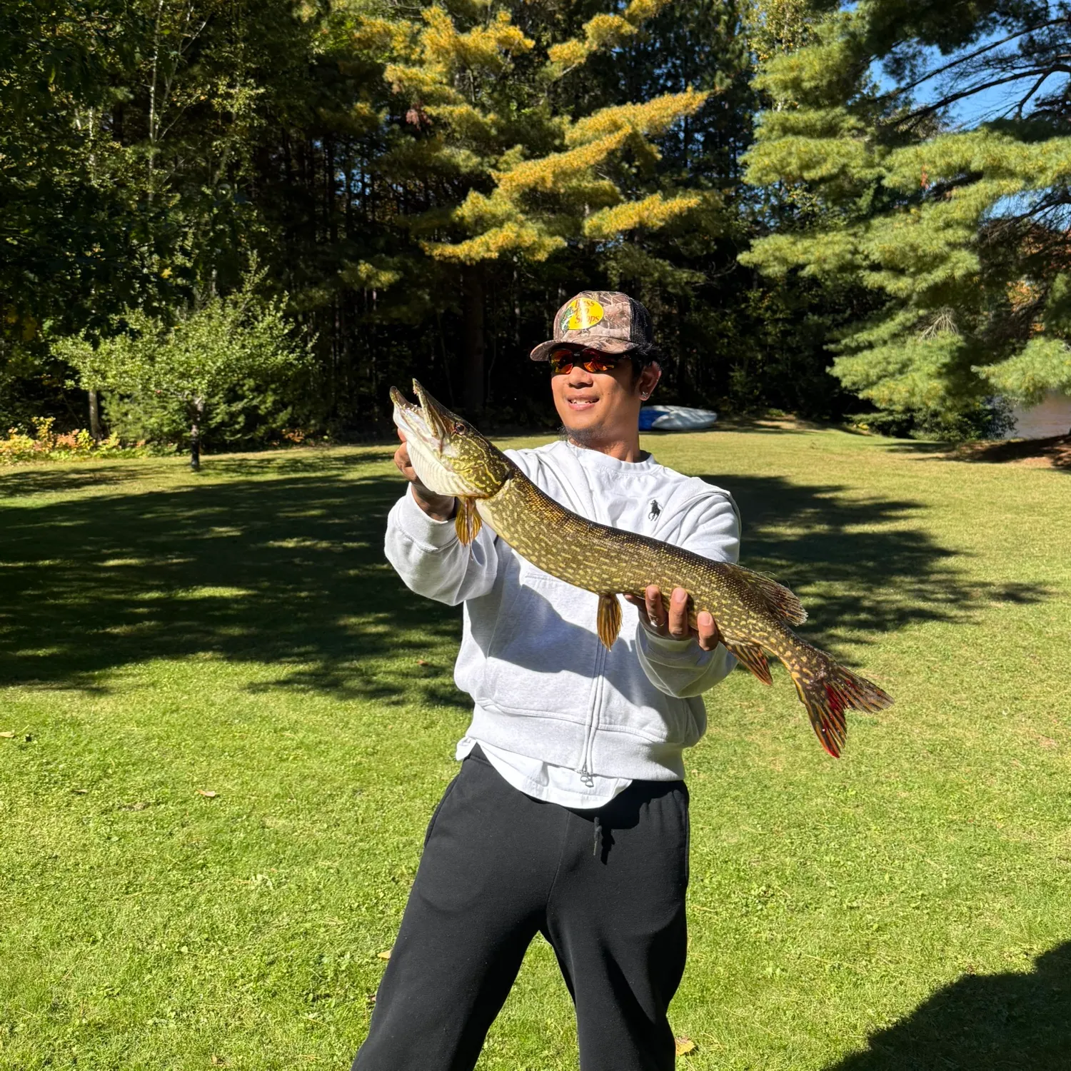 Northern pike caught on Fishbrain