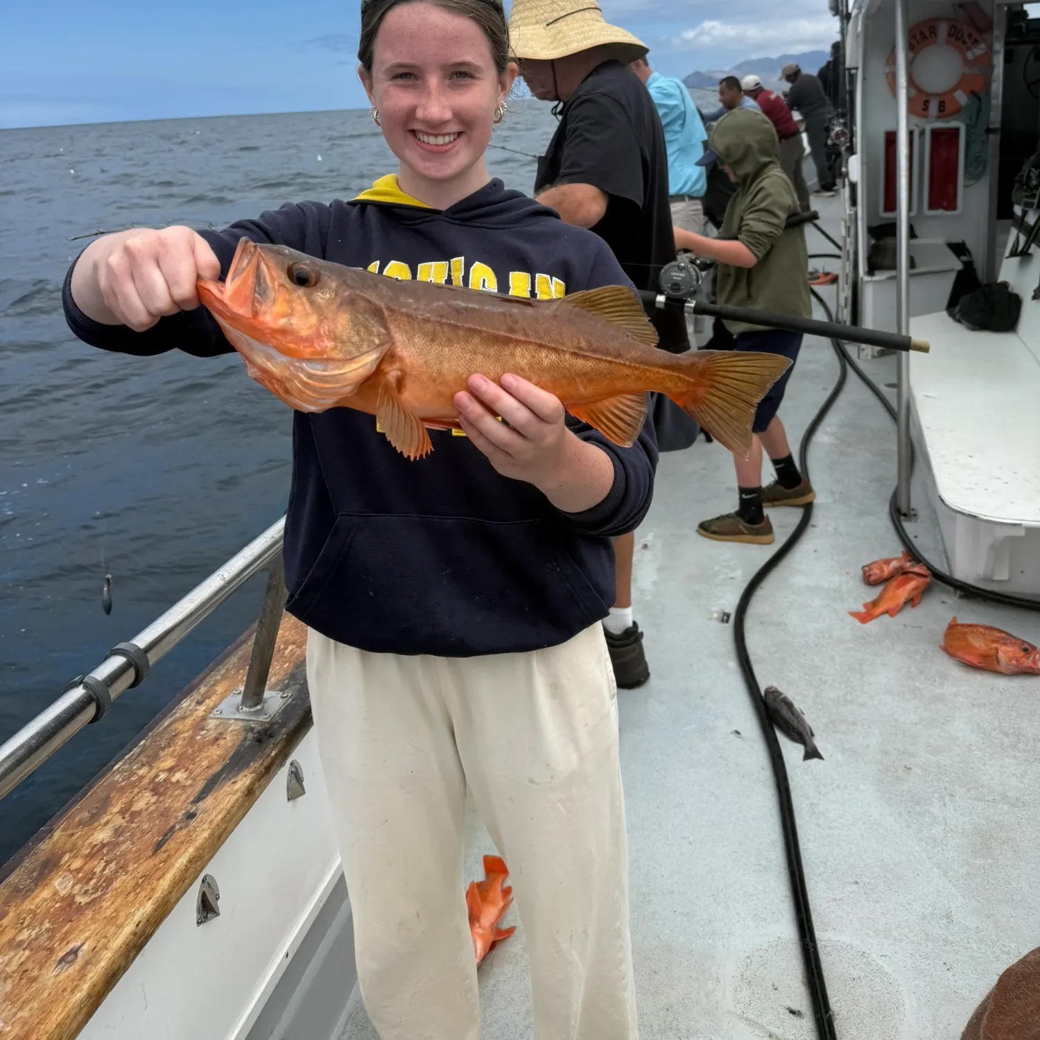 Copper rockfish caught on Fishbrain