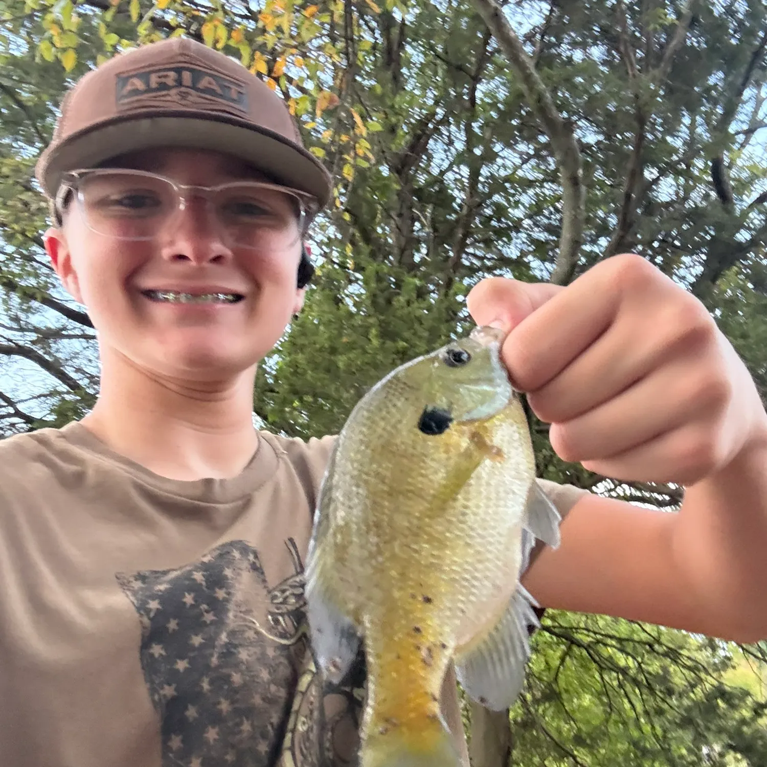 Bluegill caught on Fishbrain