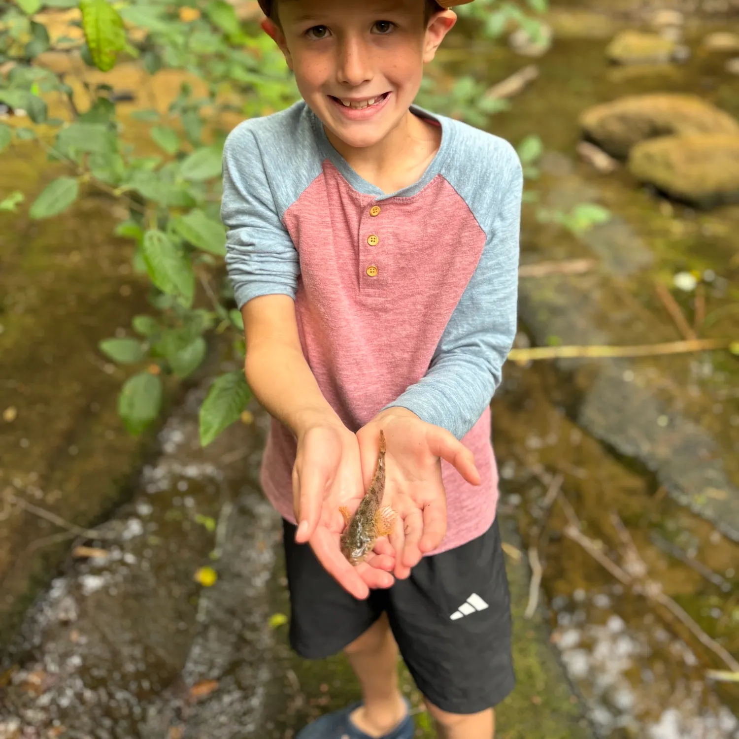 The most recent Prickly sculpin catches on Fishbrain