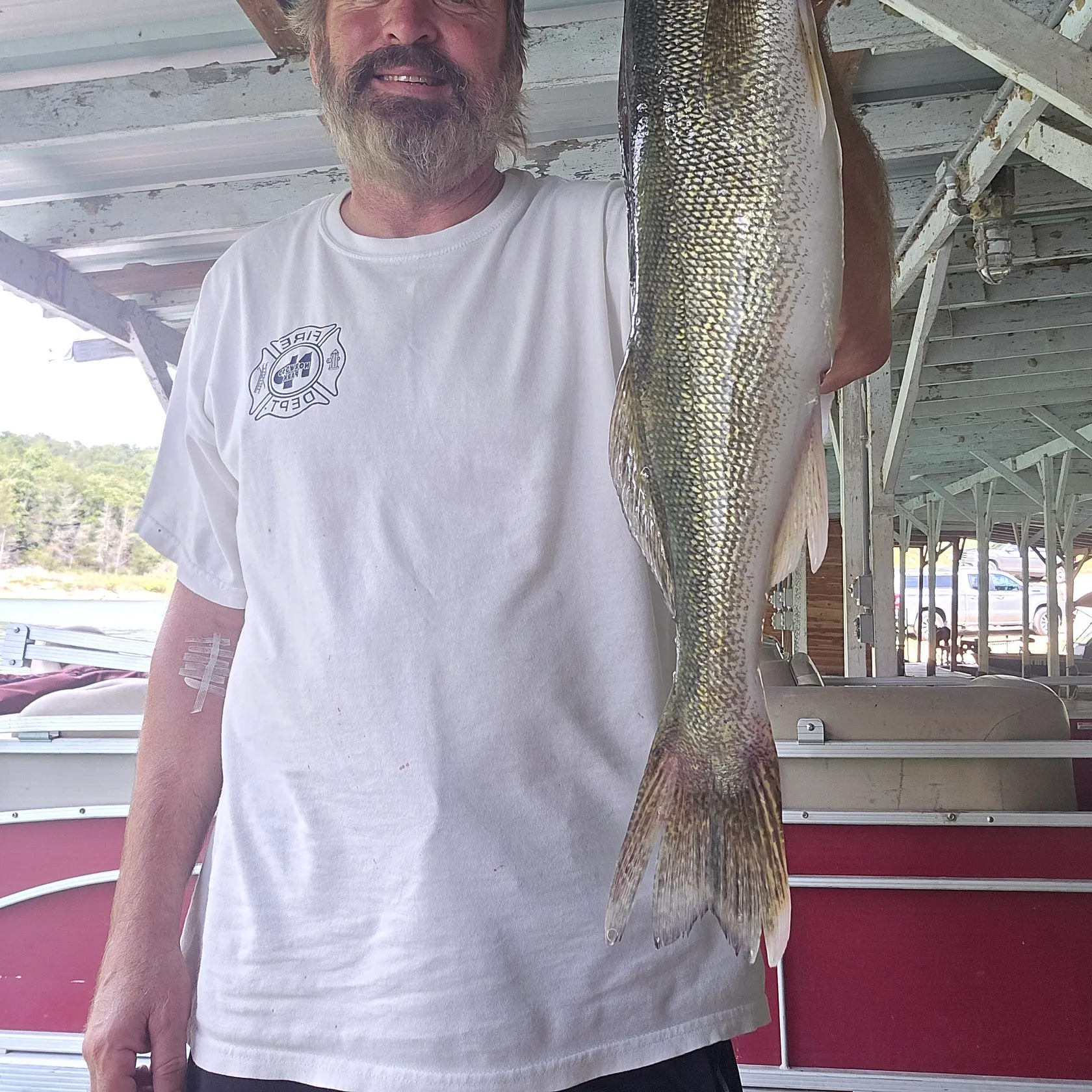 Walleye caught on Fishbrain