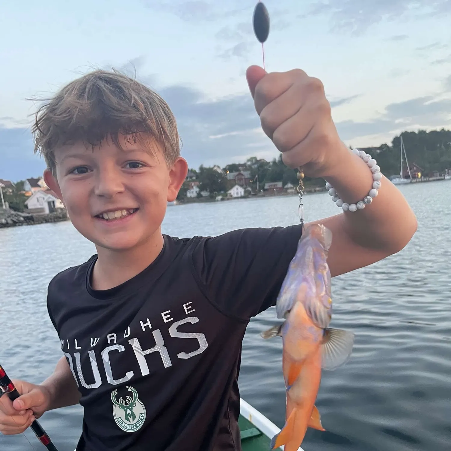 The most recent Cuckoo wrasse catches on Fishbrain