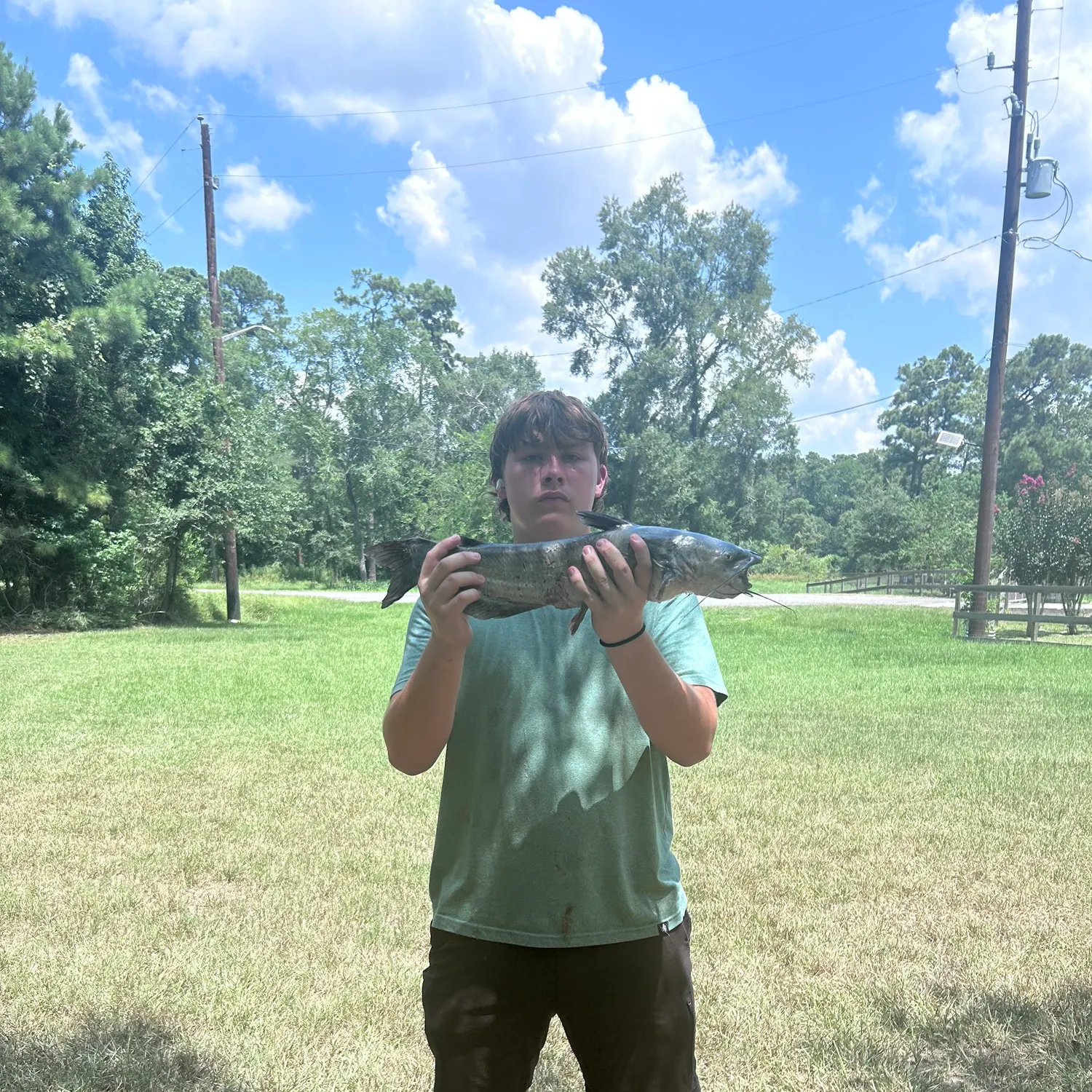 Blue catfish caught on Fishbrain