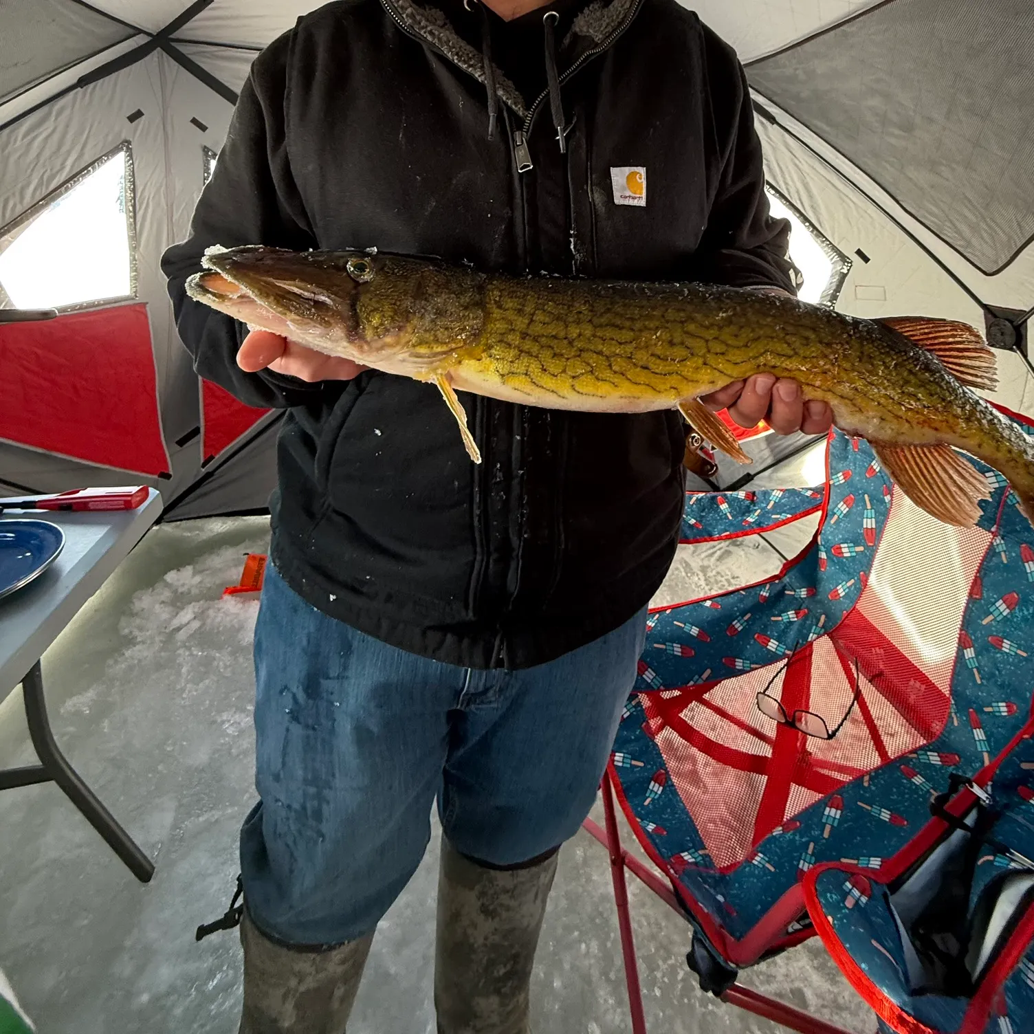 recently logged catches