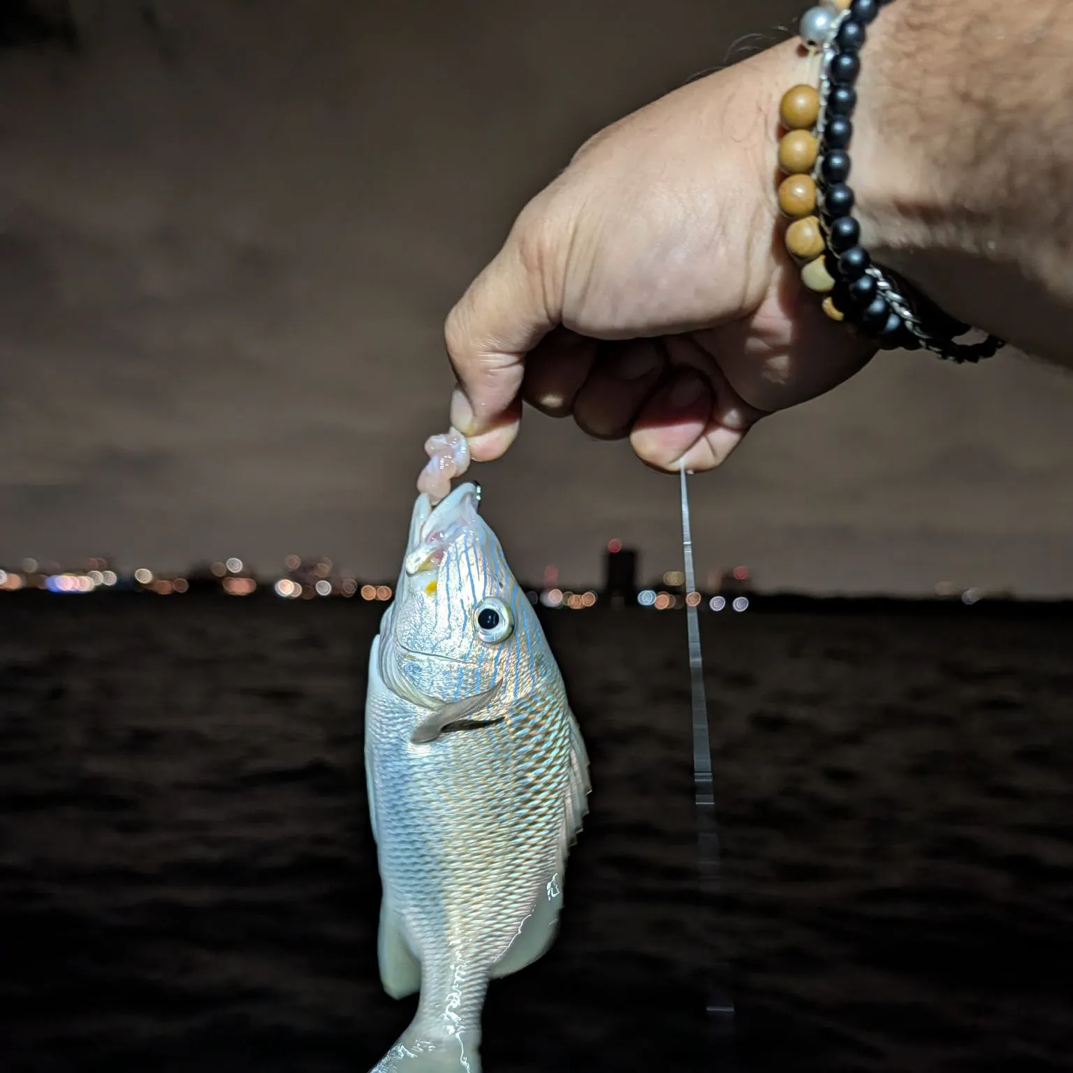 The most recent White grunt catches on Fishbrain