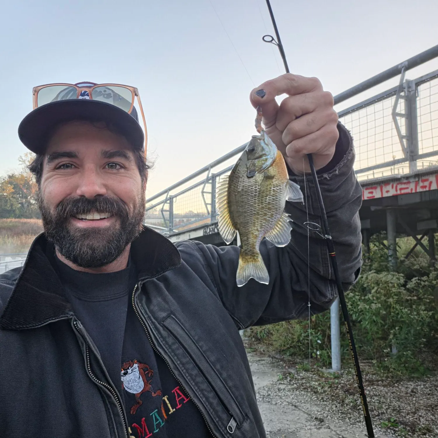 Bluegill caught on Fishbrain