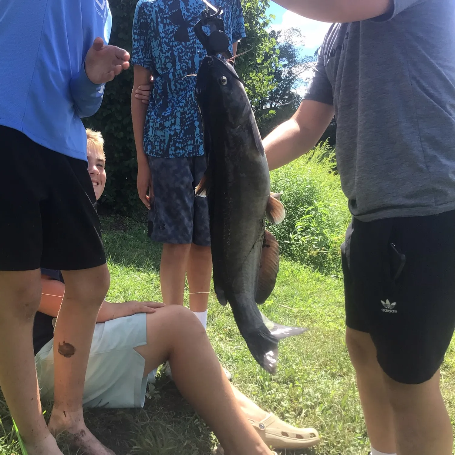 White bullhead caught on Fishbrain