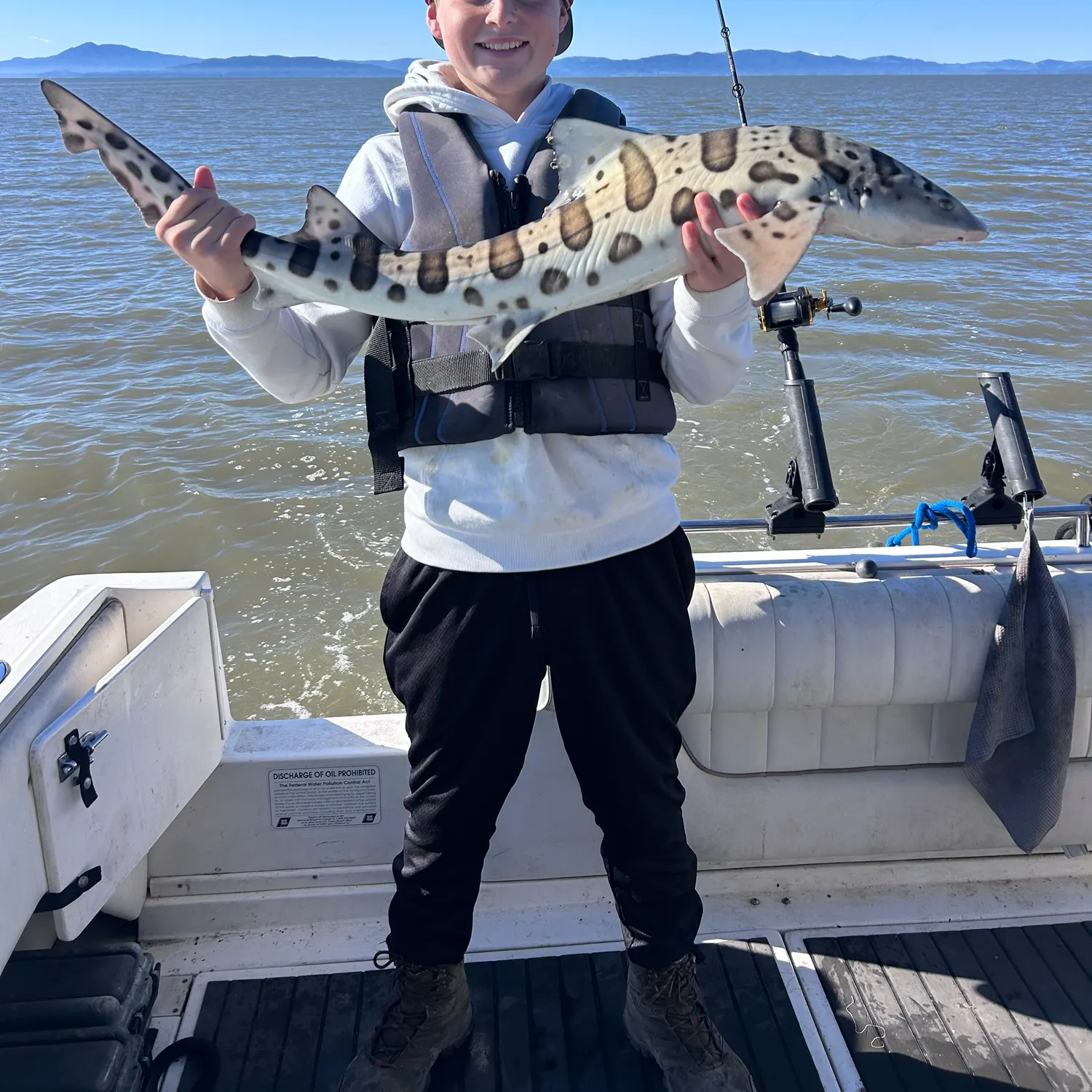 The most recent Leopard shark catches on Fishbrain