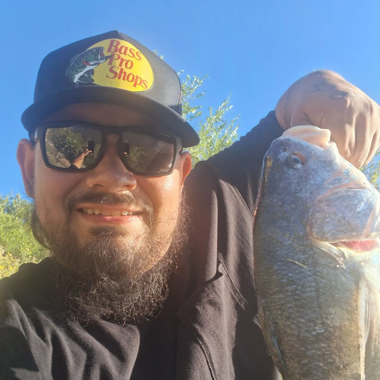 Freshwater drum caught on Fishbrain