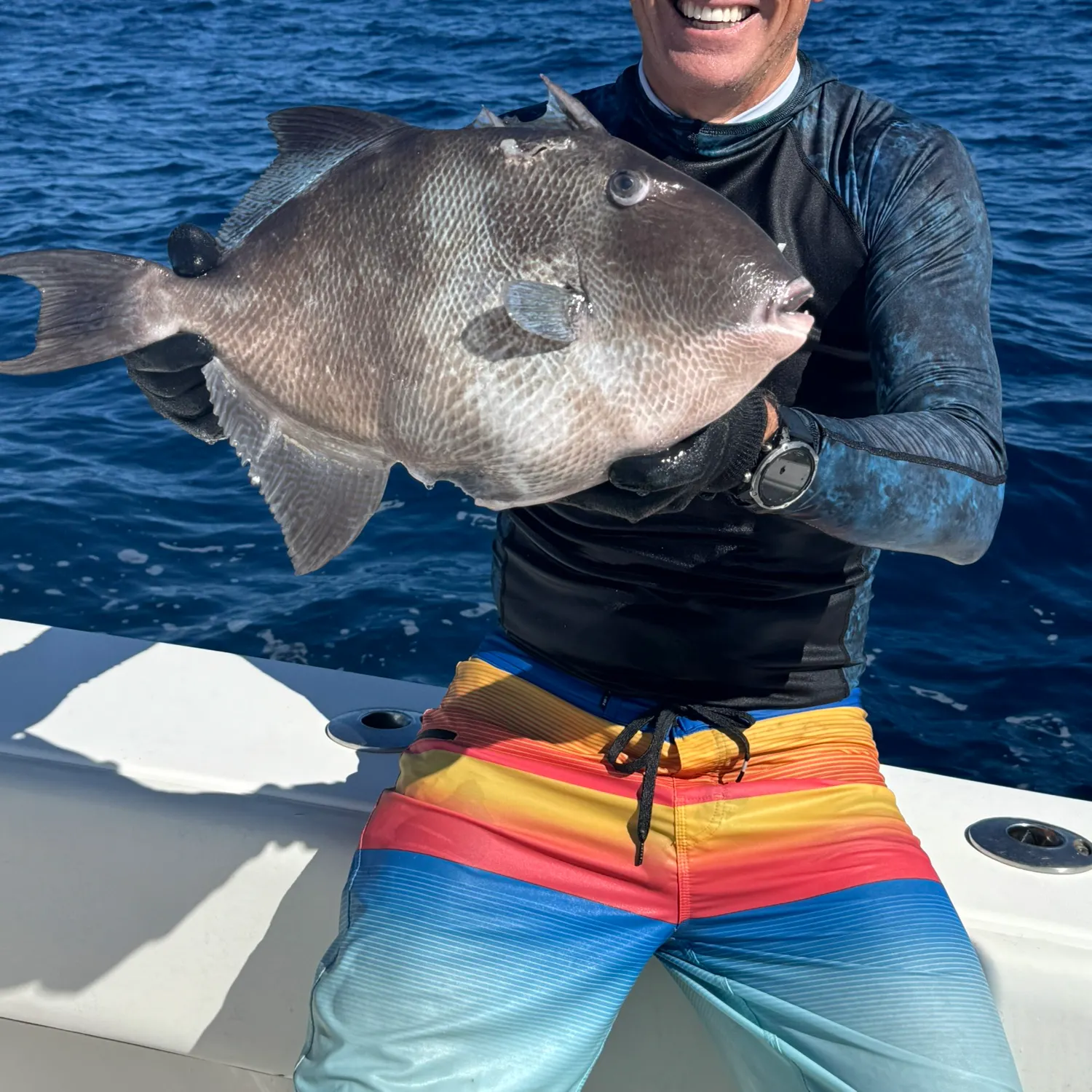 The most popular recent Grey triggerfish catch on Fishbrain