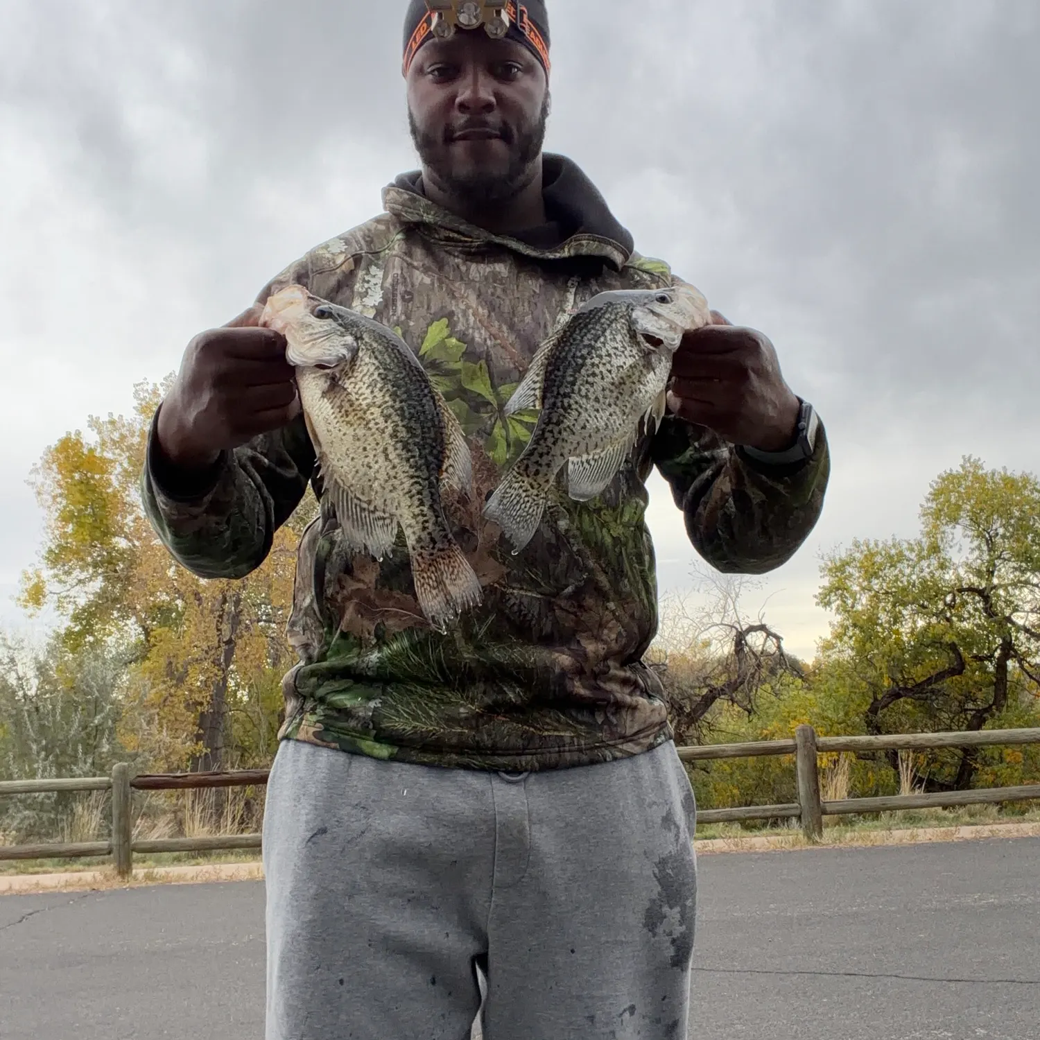 Black crappie caught on Fishbrain
