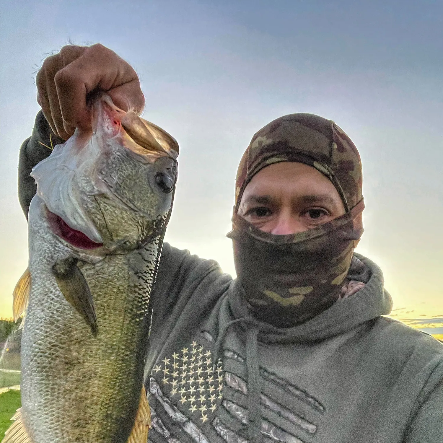 Largemouth bass caught on Fishbrain