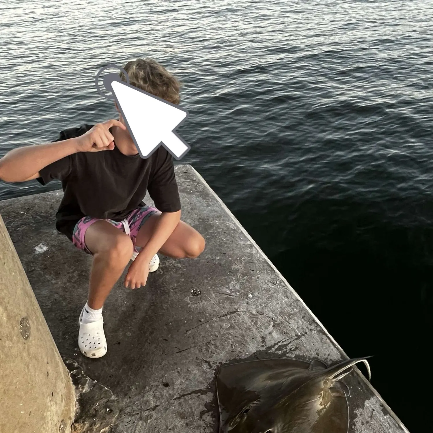 The most recent Spanner crab catches on Fishbrain