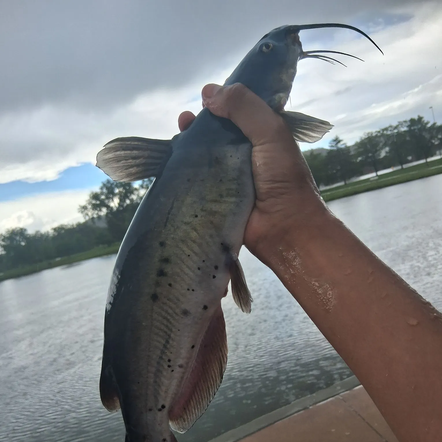 catch