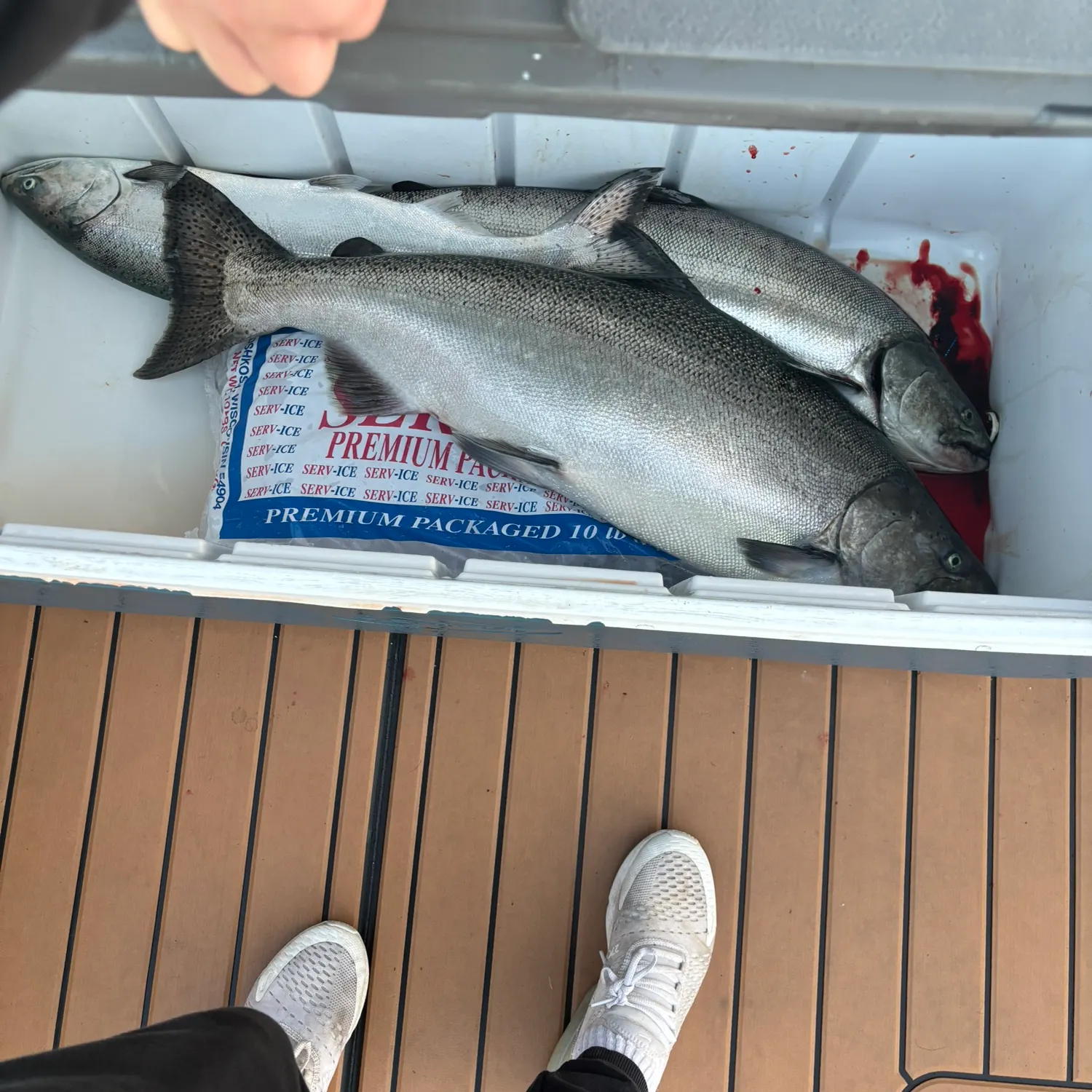 catch