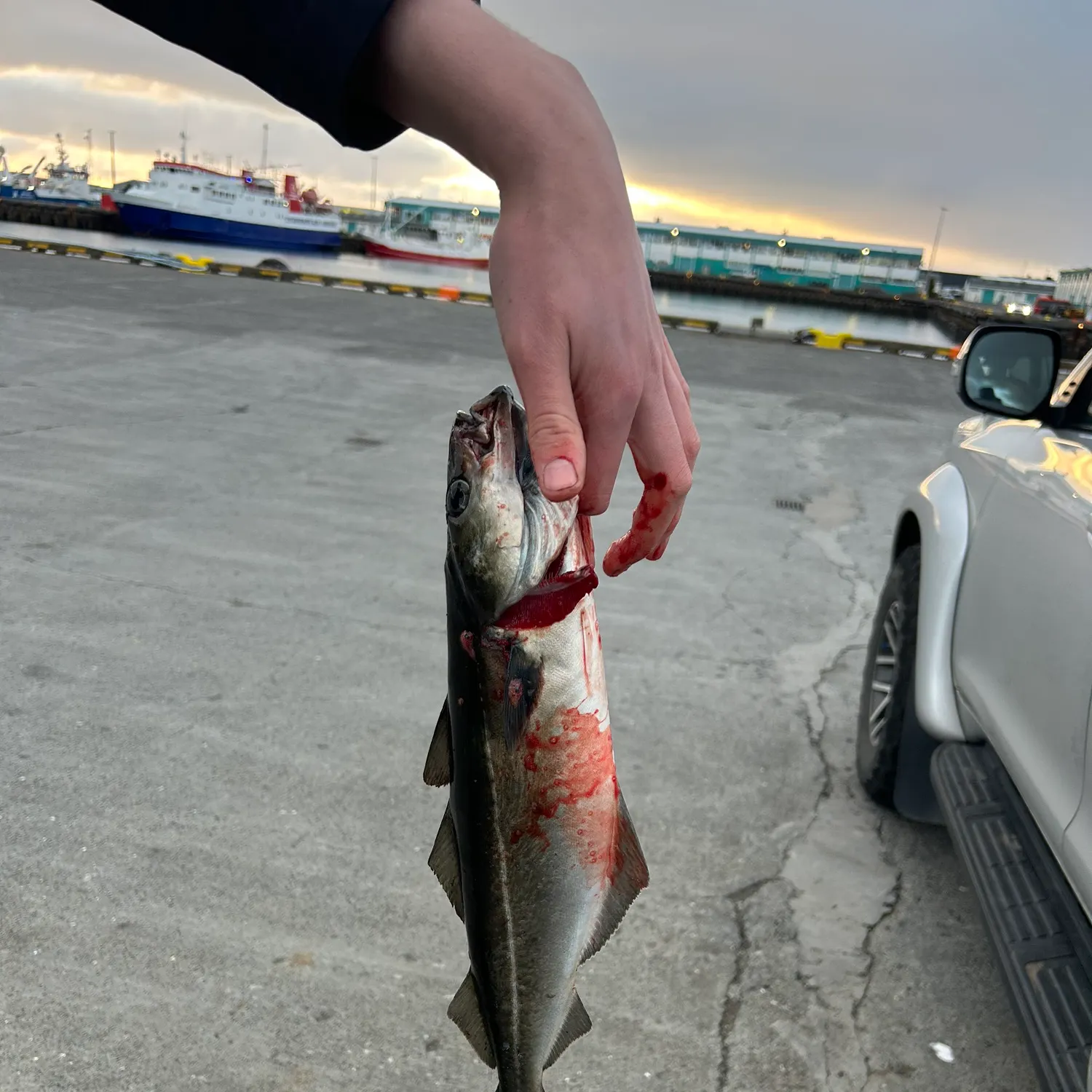 catch