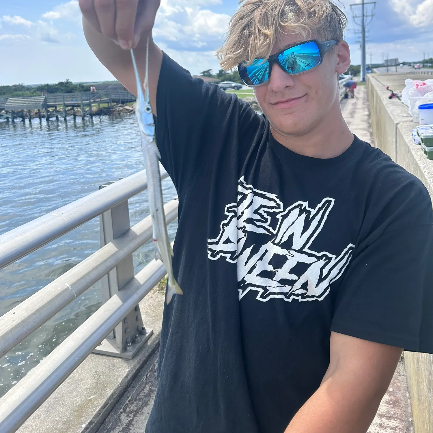 Atlantic needlefish caught on Fishbrain