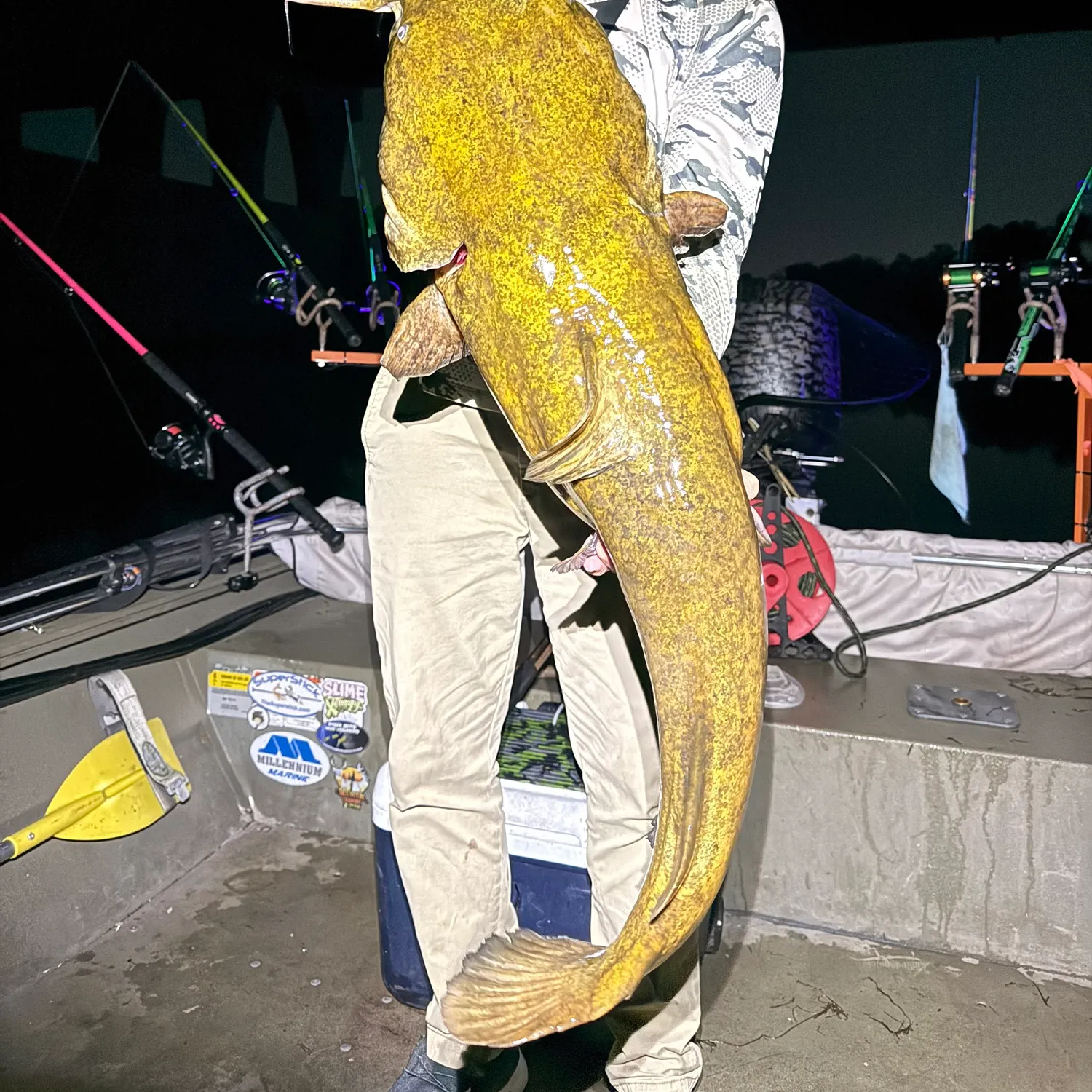 Flathead catfish caught on Fishbrain