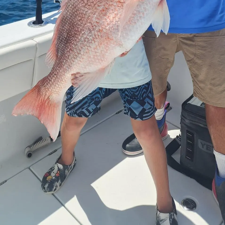 The most recent Northern red snapper catches on Fishbrain