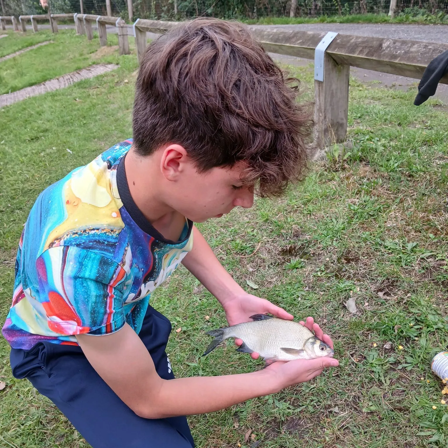 Common bream caught on Fishbrain