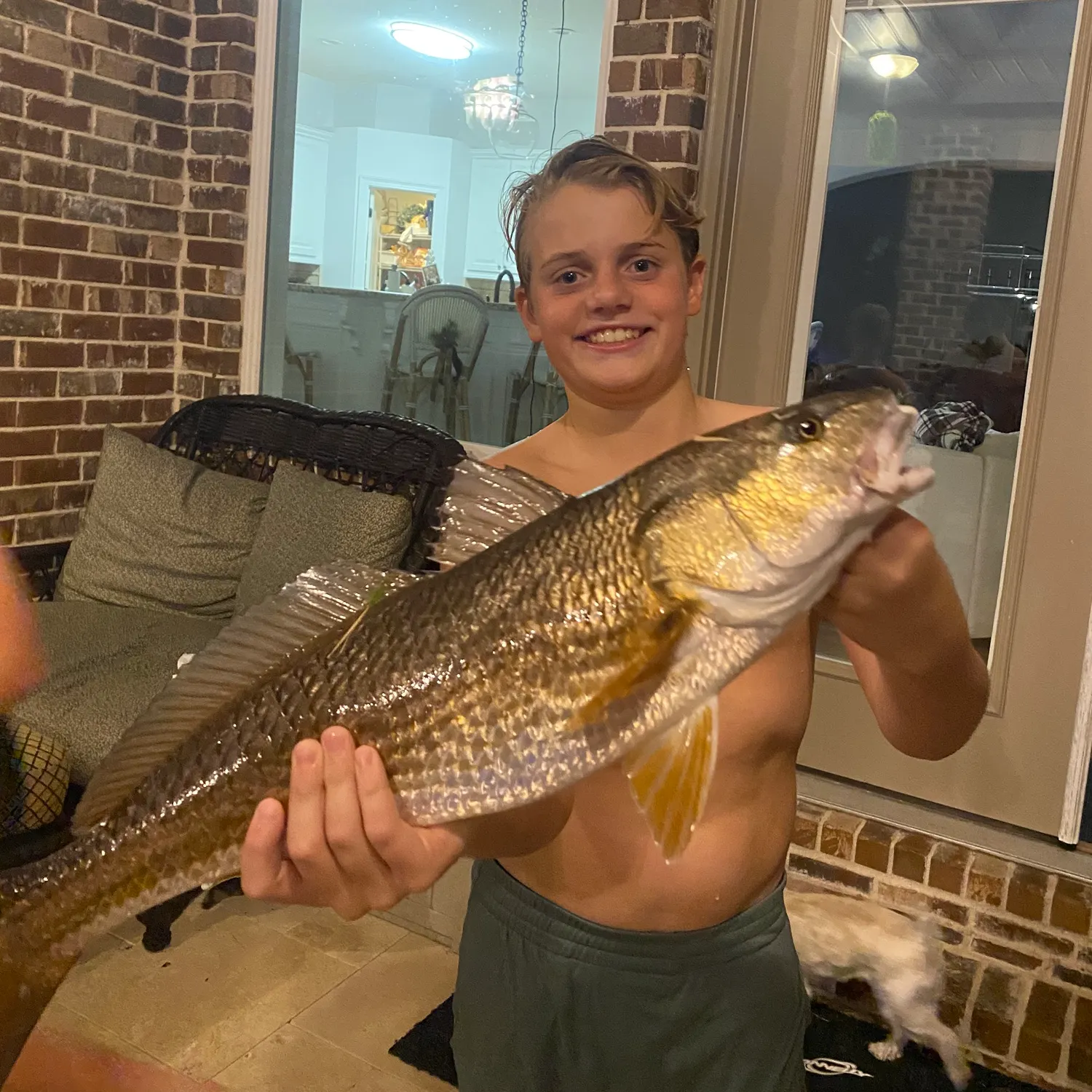 The most recent Red drum catches on Fishbrain