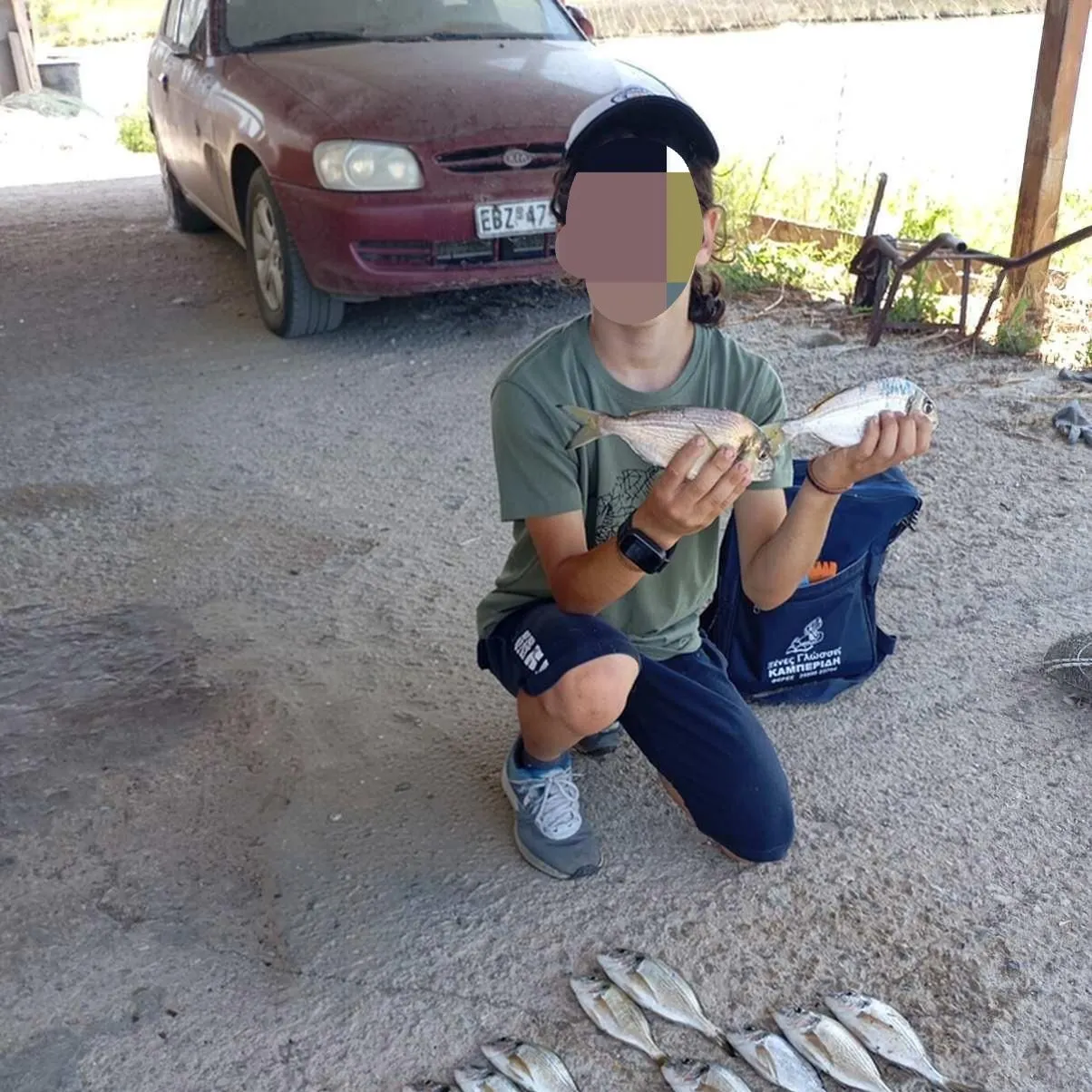 The most recent Gilthead seabream catches on Fishbrain
