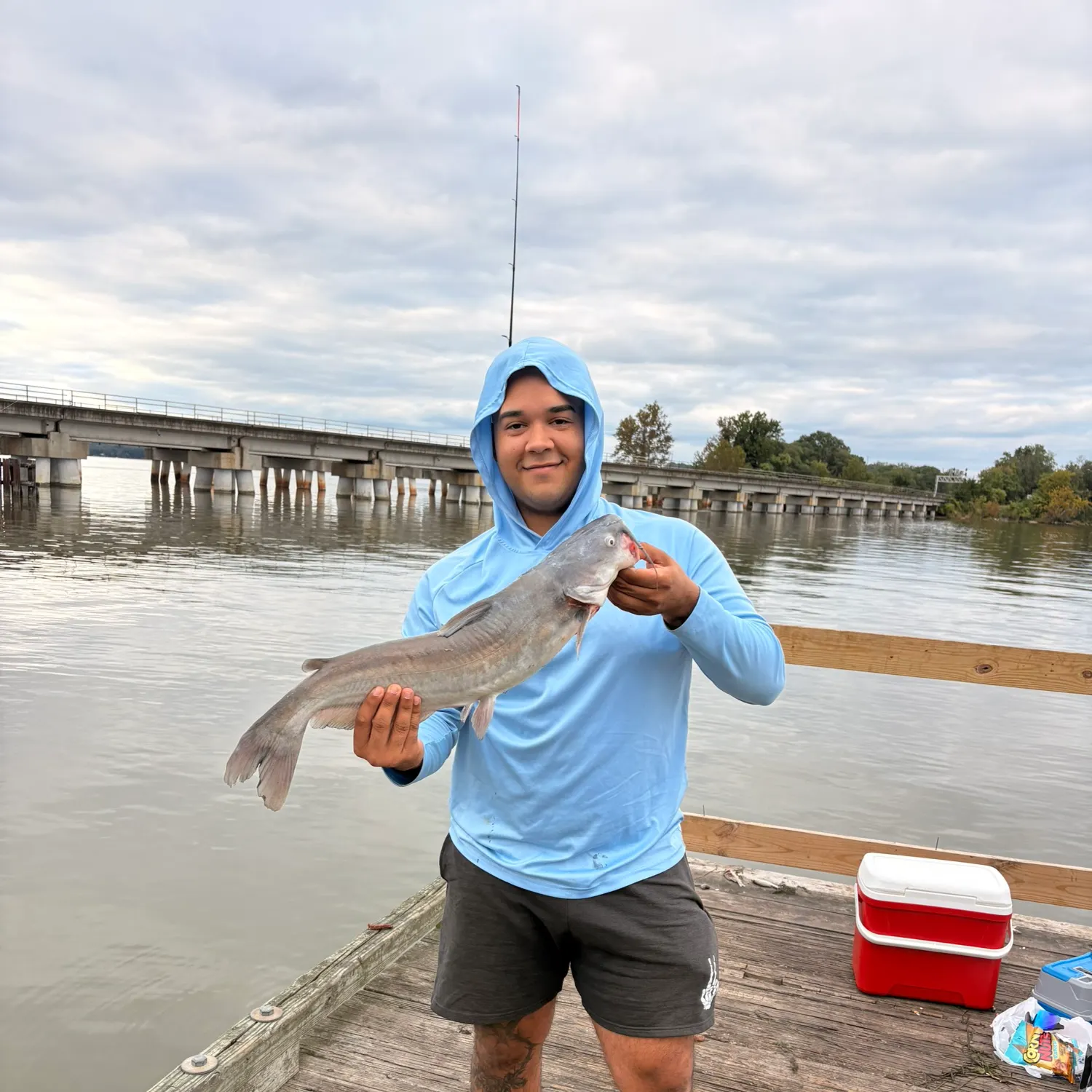 Blue catfish caught on Fishbrain