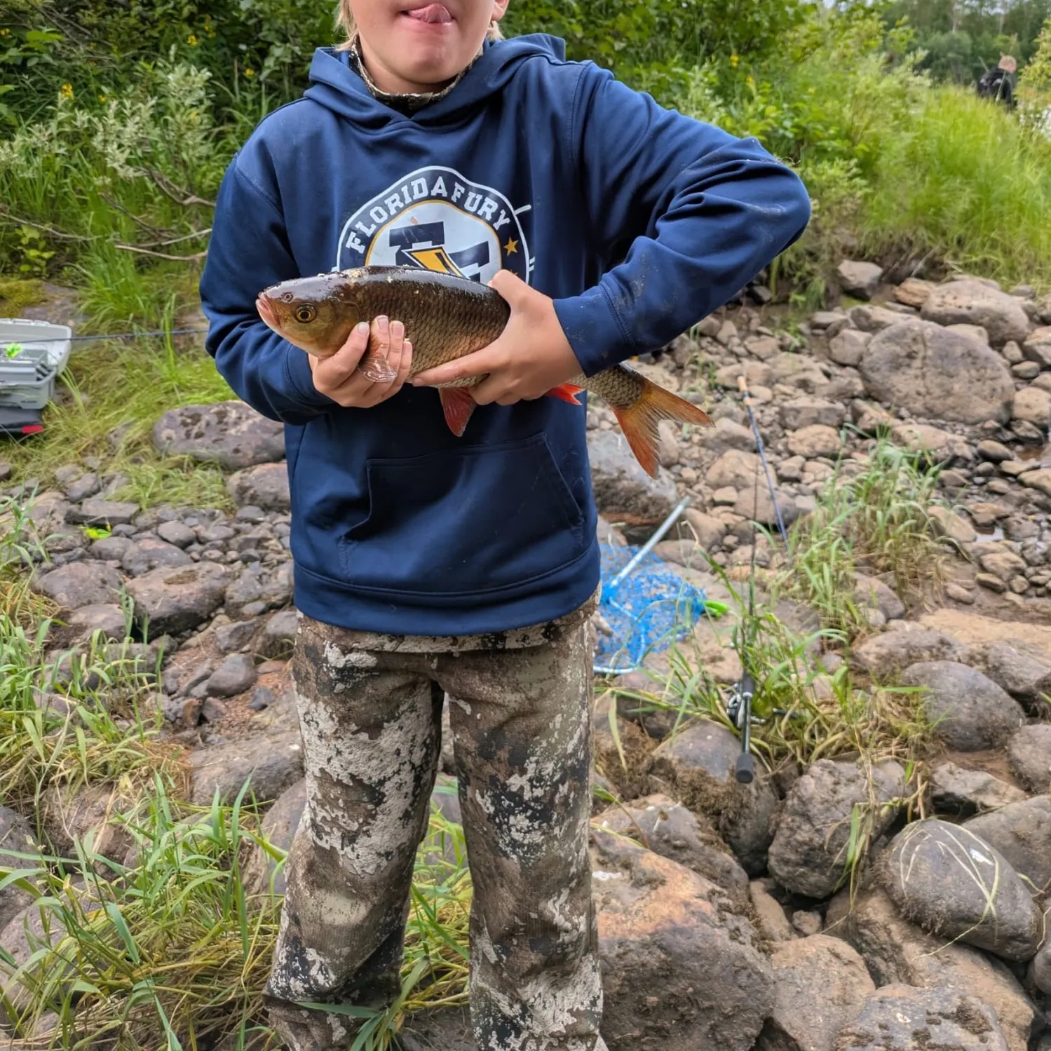 Common rudd caught on Fishbrain