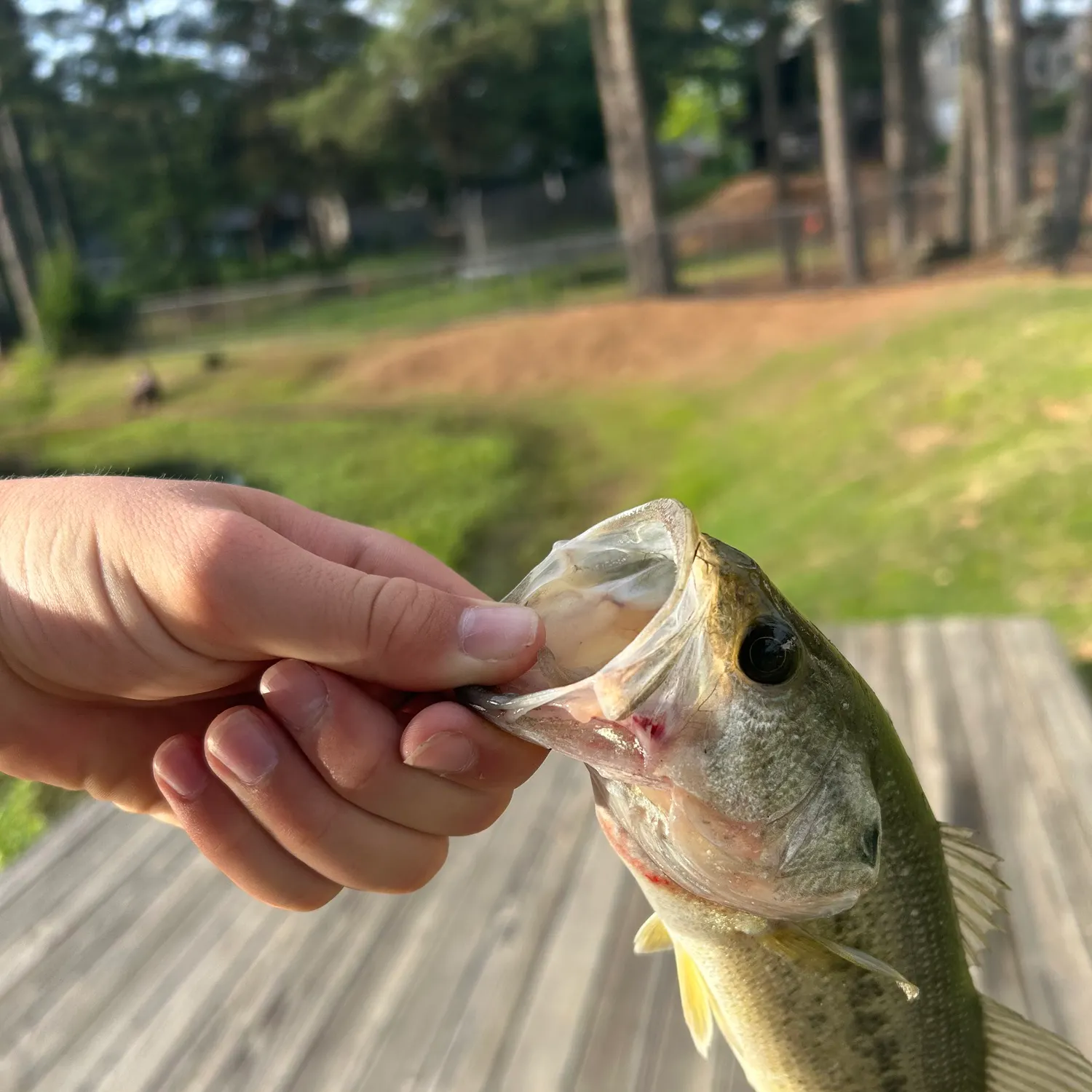 catch